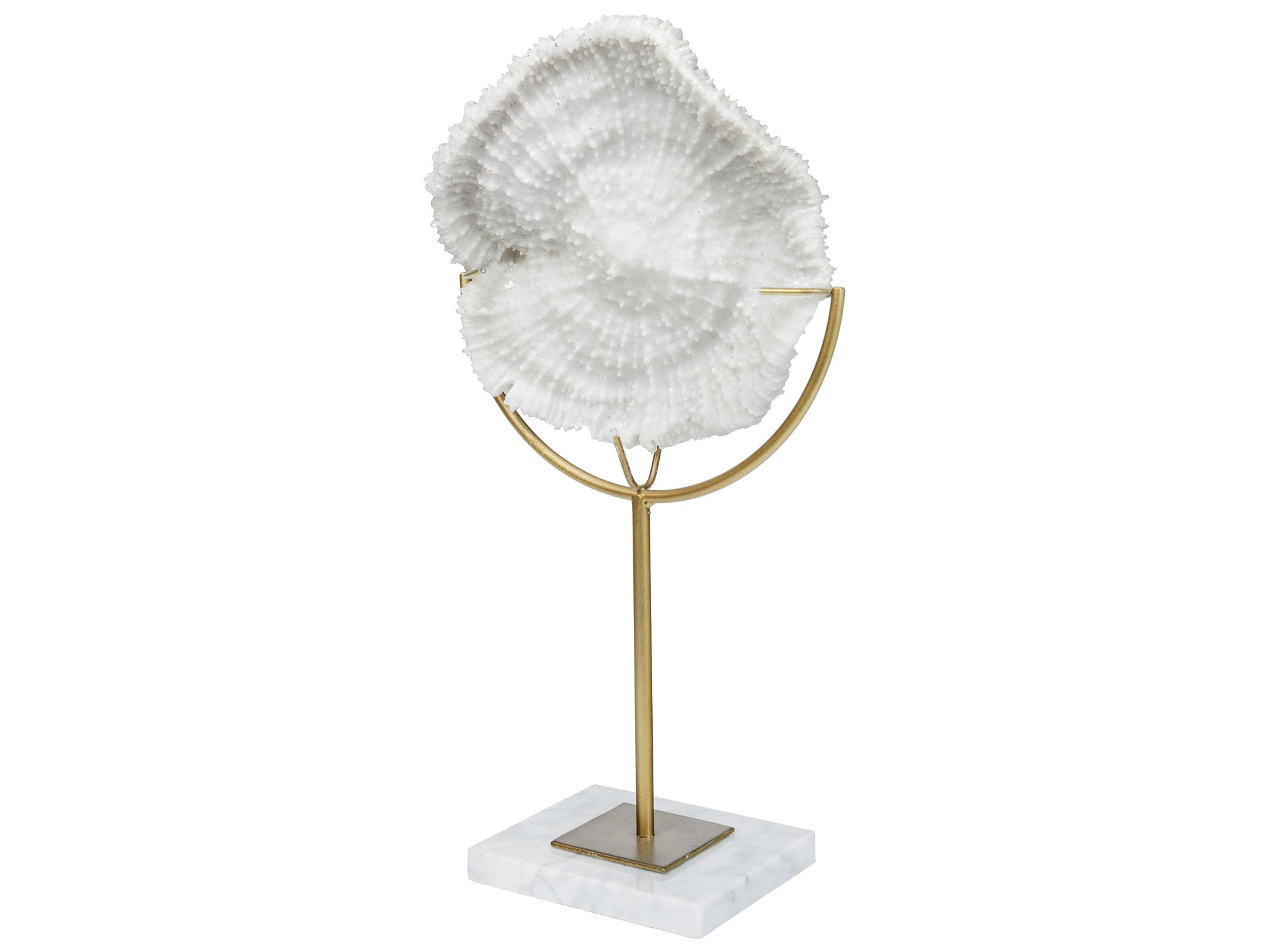 Sandy I (Small) 6L x 3W White Coastal Sand Dollar Object