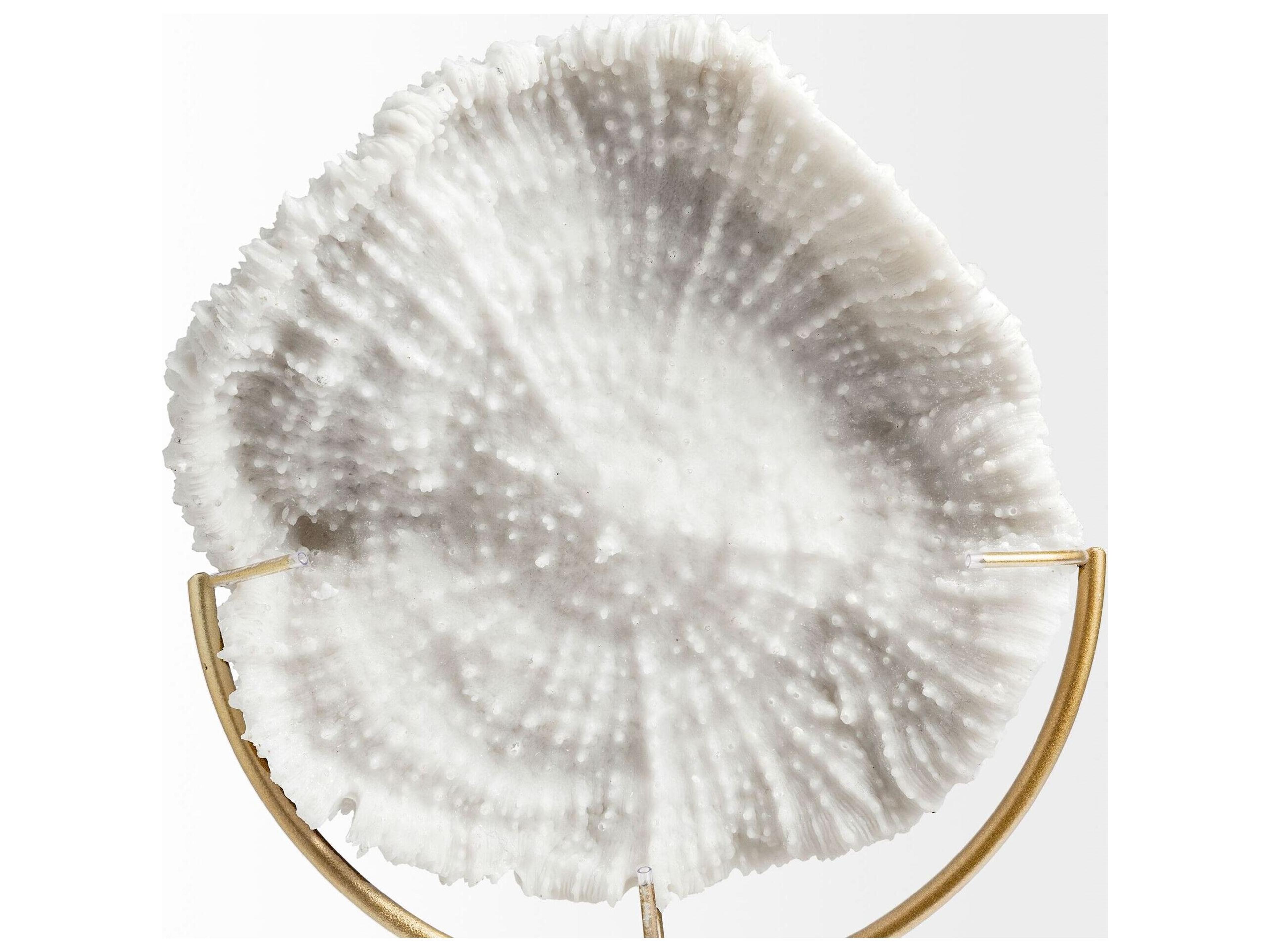 Mercana Sandy I (Small) 6L x 3W White Coastal Sand Dollar Object