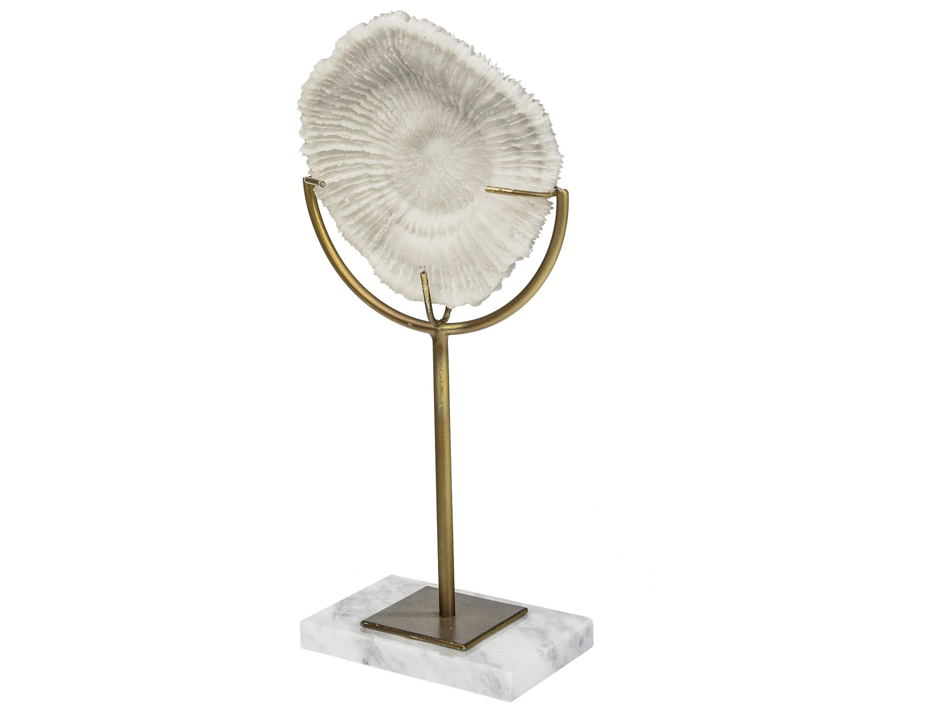 Sandy II (Medium) 6L x 3W White Coastal Sand Dollar Object