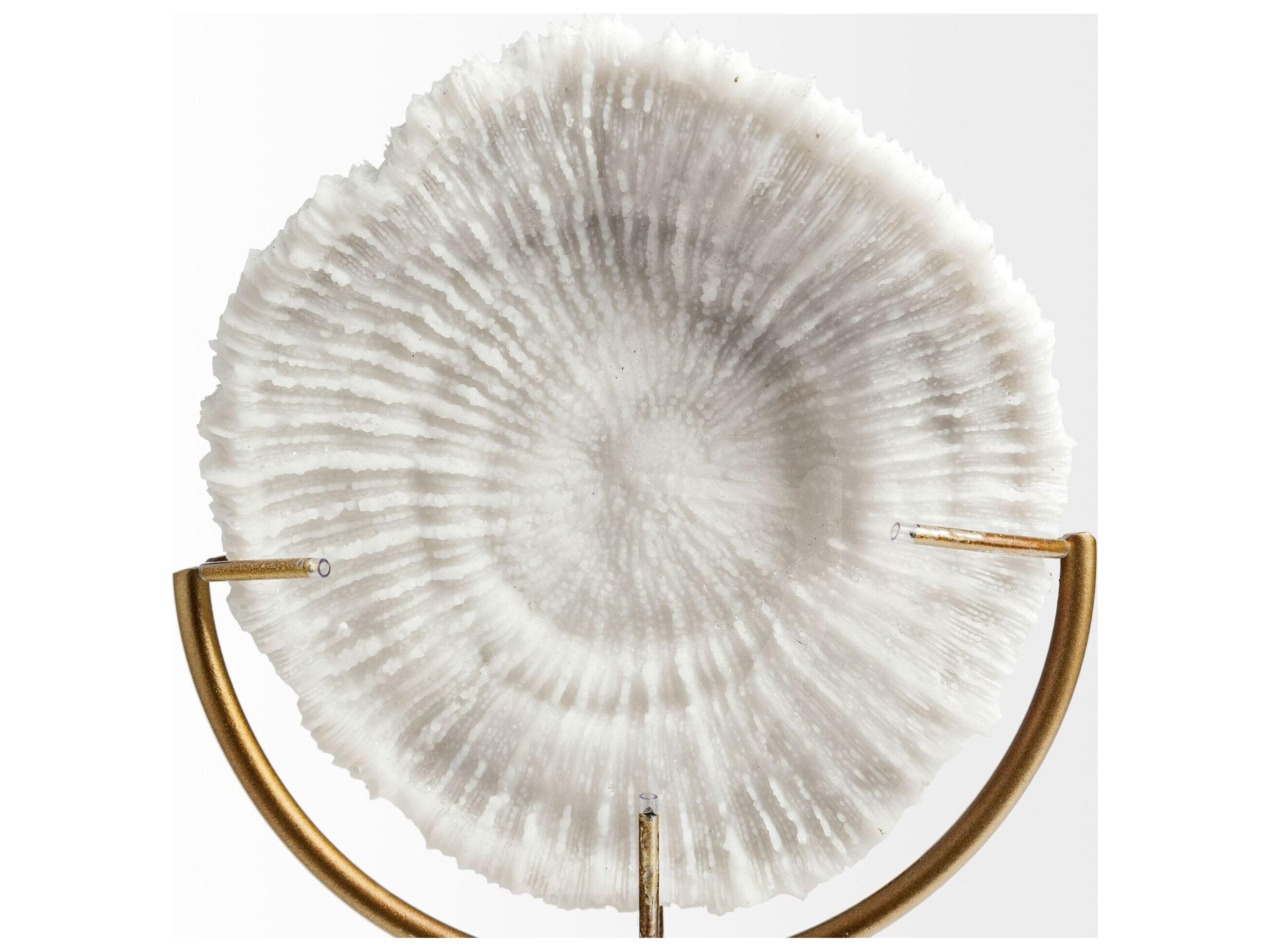 Mercana Sandy II (Medium) 6L x 3W White Coastal Sand Dollar Object