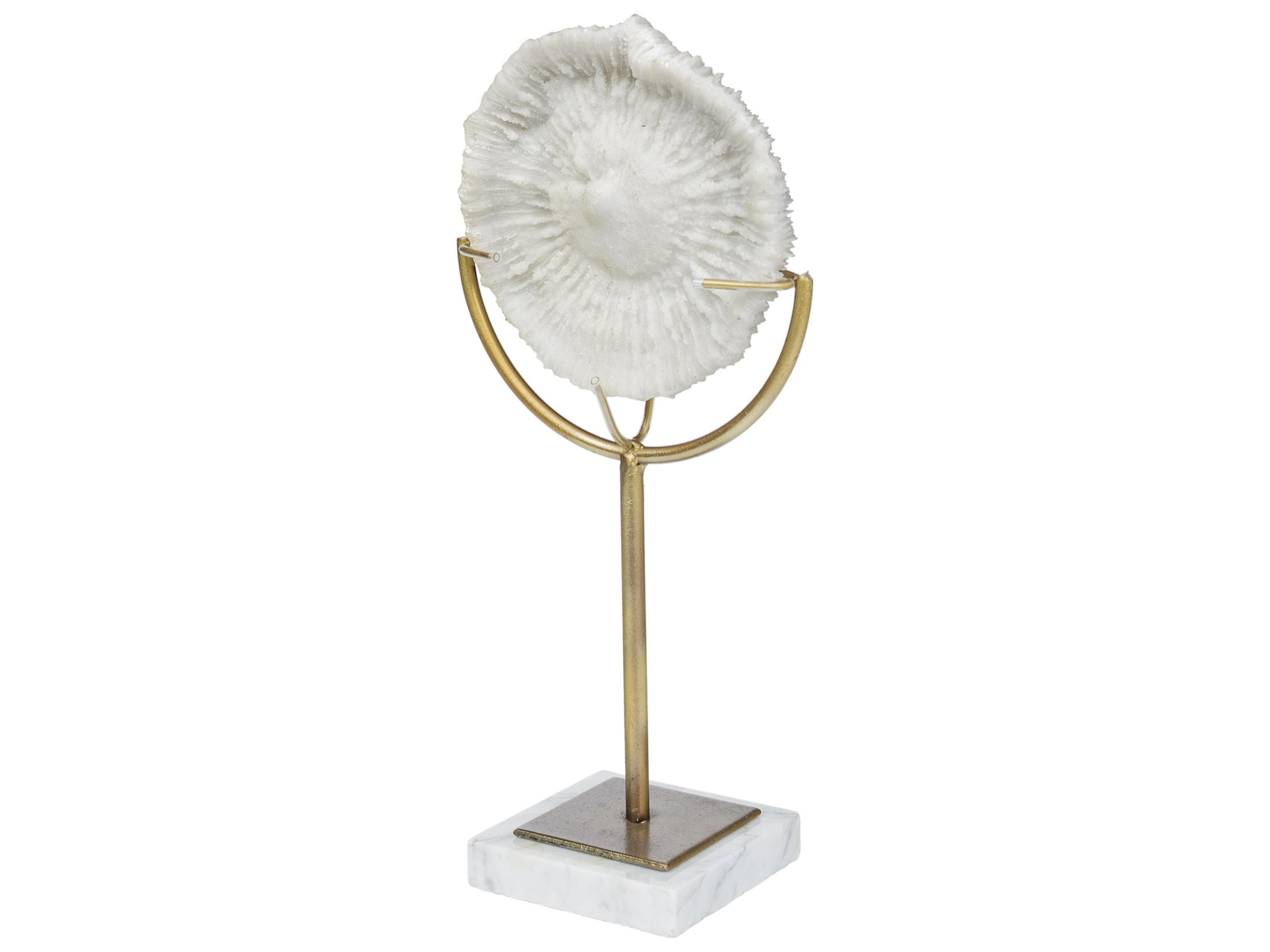 Sandy III (Large) 8L x 4W White Coastal Sand Dollar Object