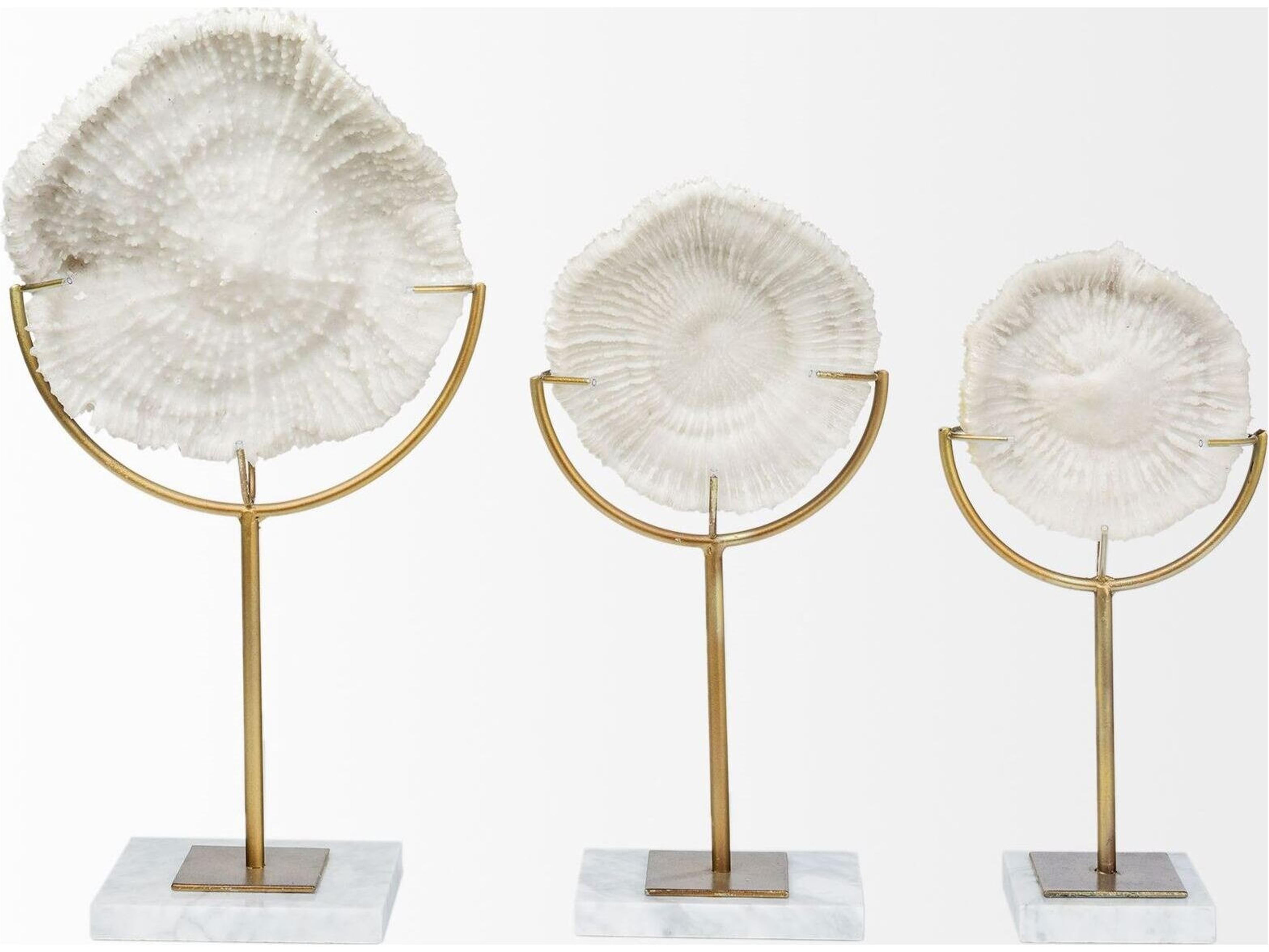 Mercana Sandy III (Large) 8L x 4W White Coastal Sand Dollar Object