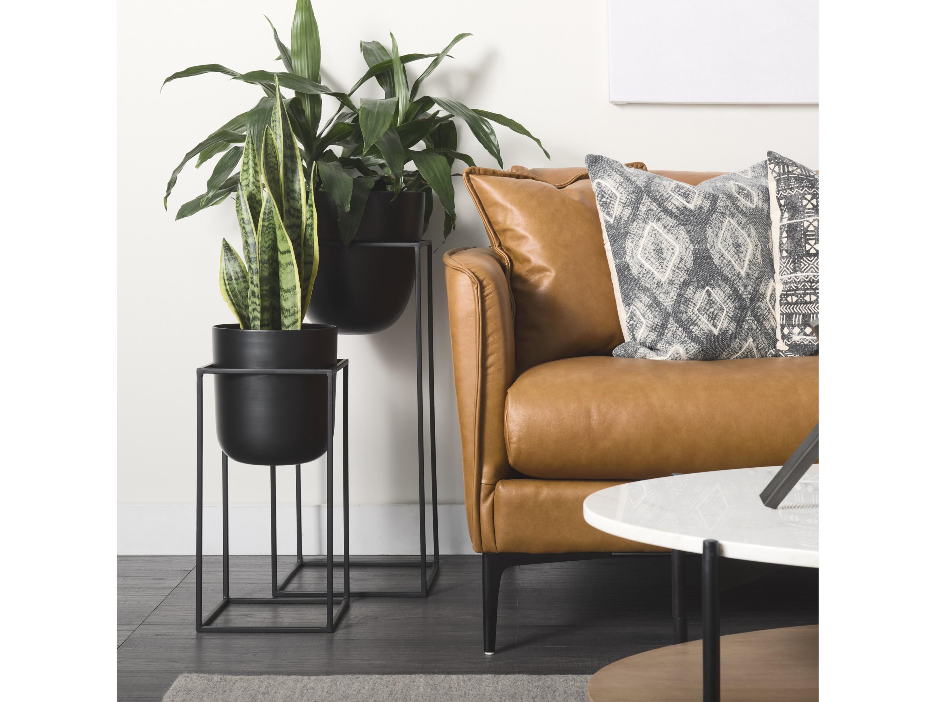 Mercana Bumble (Set of 2) 12L x 12W x 32H Black Plant Stands