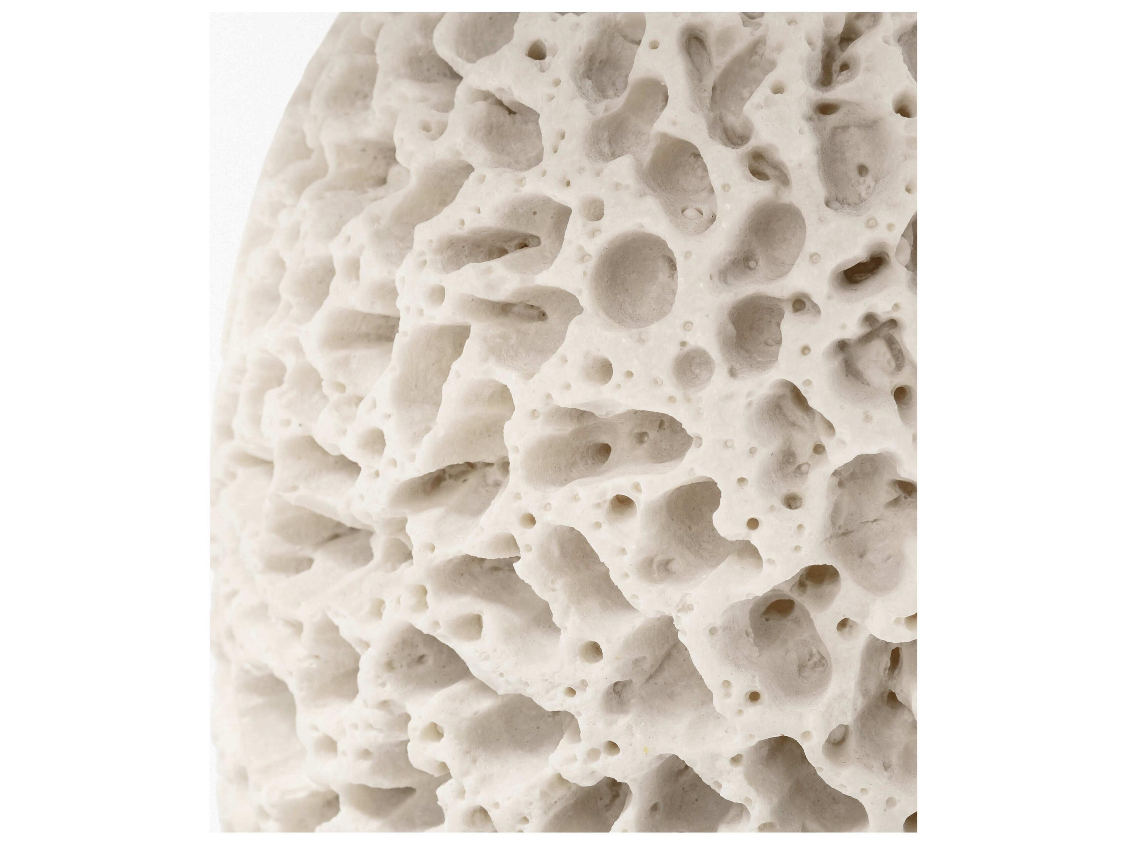 Mercana Mariam (26"H) Cream Coral-Inspired Base Table Lamp