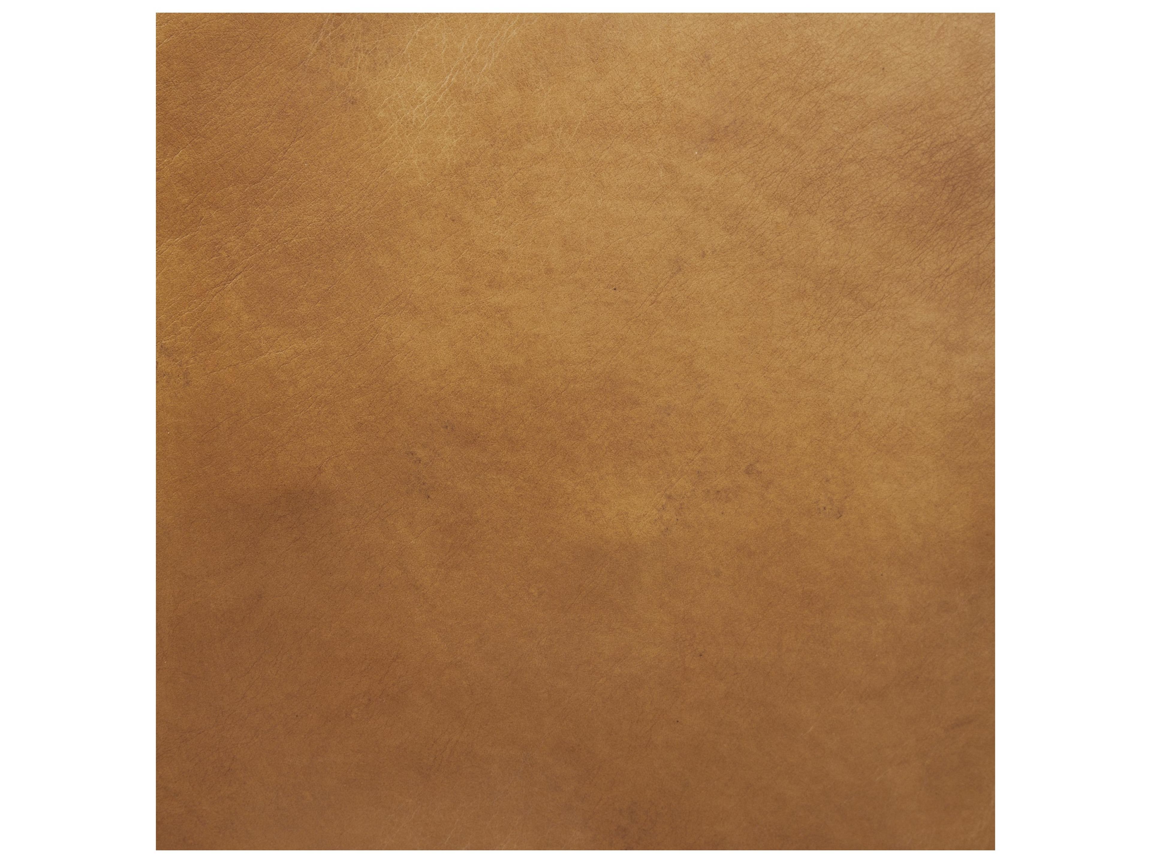 Mercana Grosjean Brown Leather Wrap Metal Frame Accent Chair