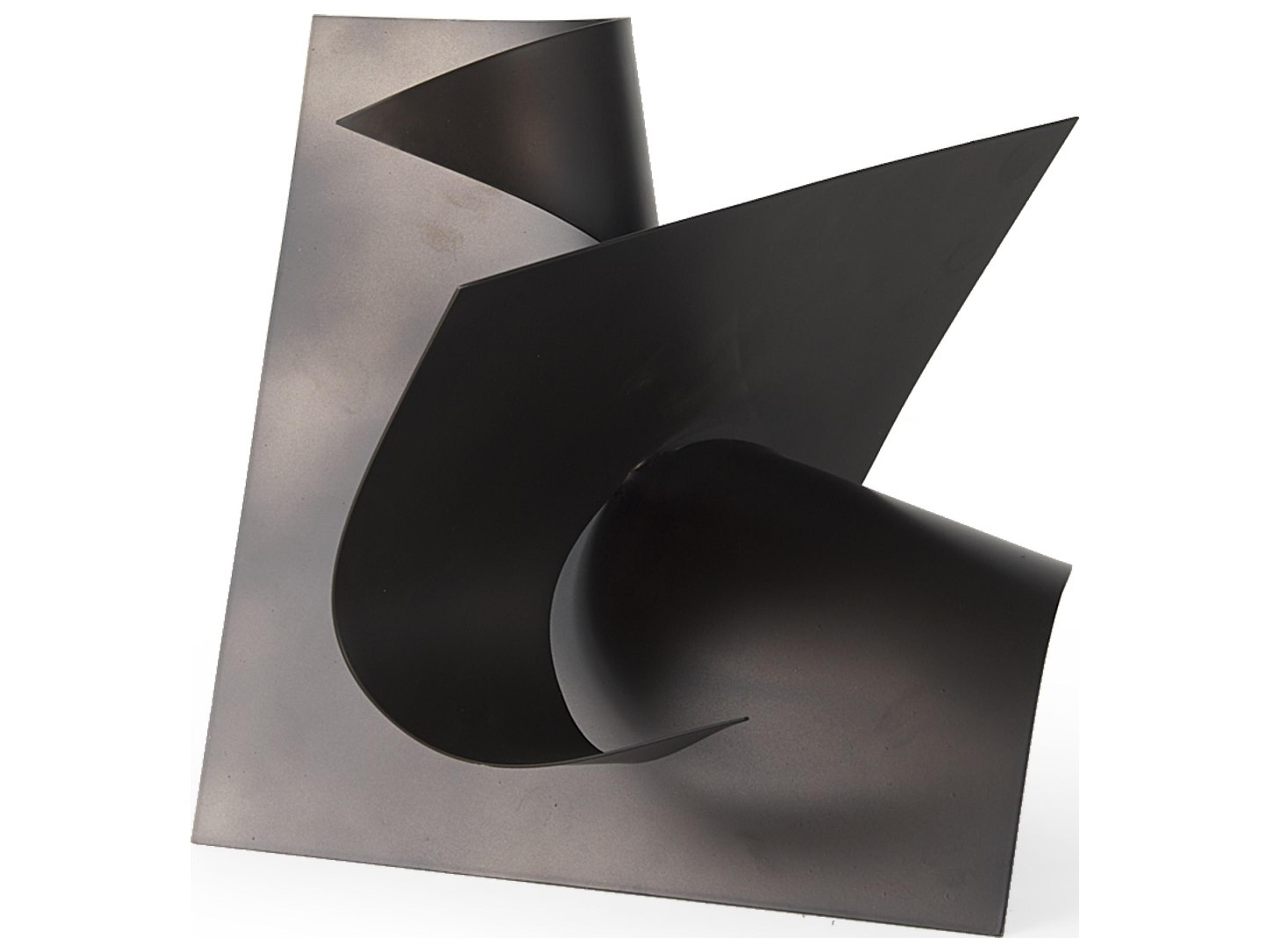 Francesca 11.8L x 11.8W x 11.8H Black Metal Sculptural Decorative Object