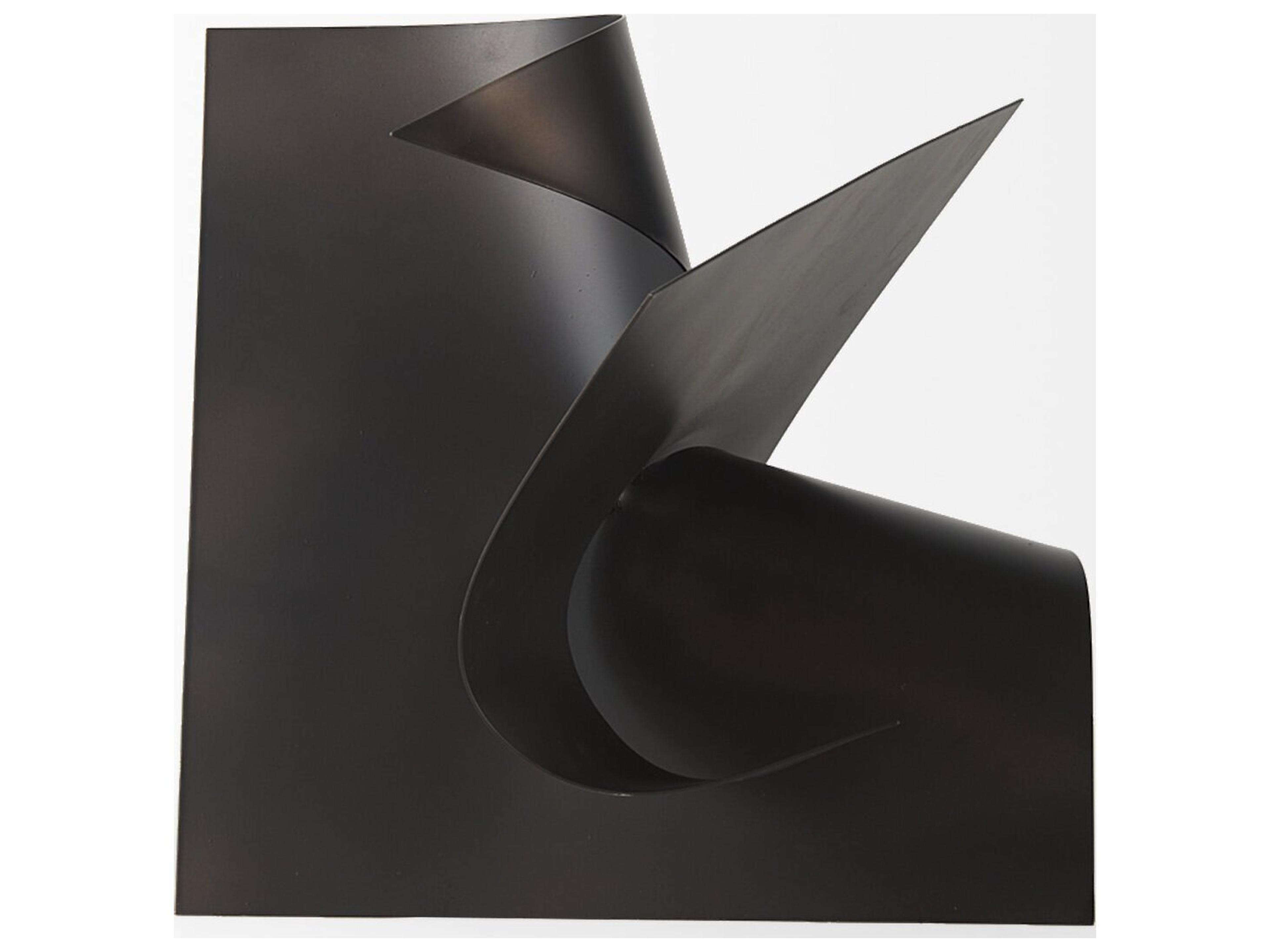 Mercana Francesca 11.8L x 11.8W x 11.8H Black Metal Sculptural Decorative Object