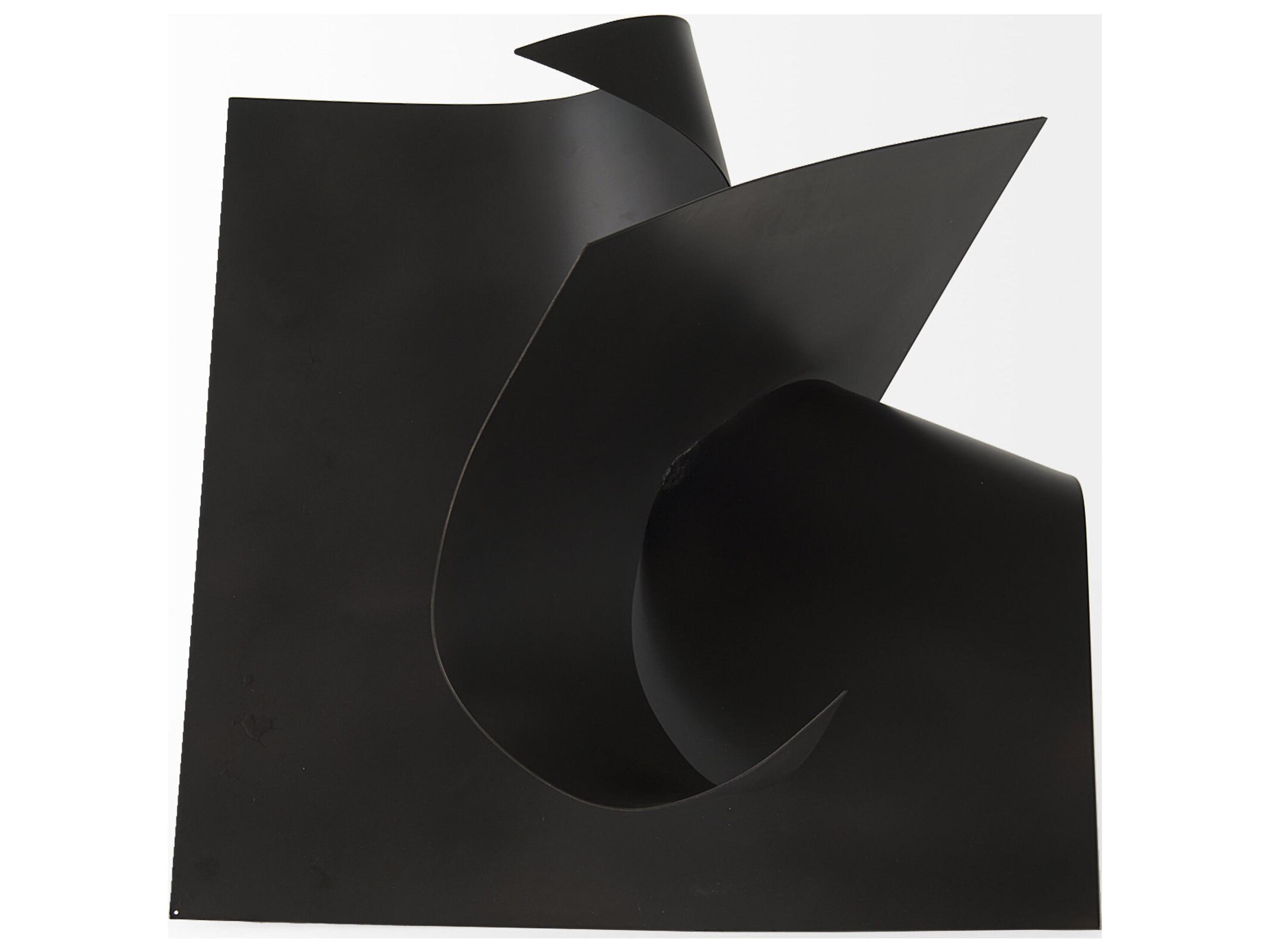 Mercana Francesca 18.1L x 18.1W x 18.1H Black Metal Sculptural Decorative Object
