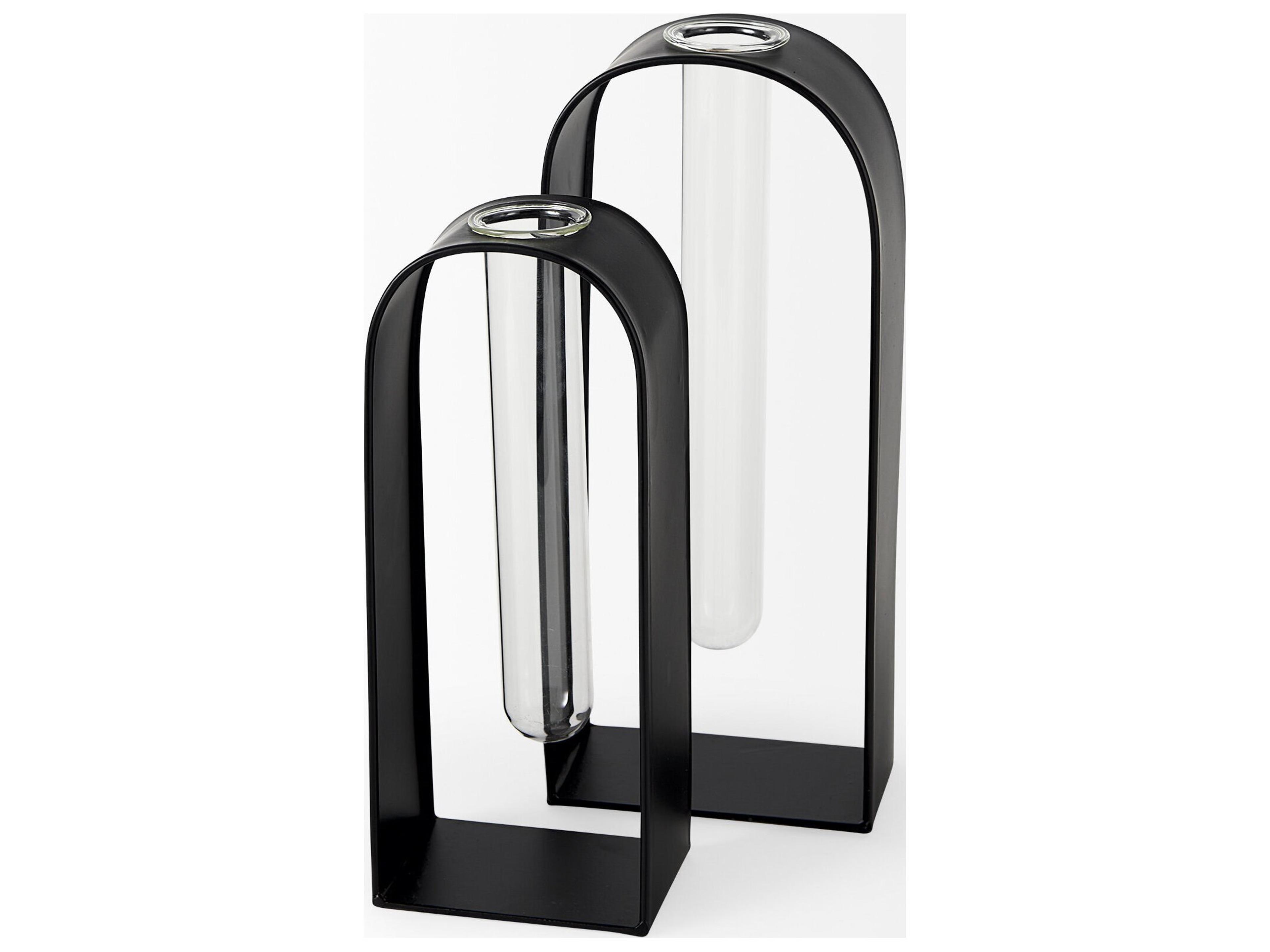 Mercana Boyer 5.1L x 3.0W x 12.0H Black Metal W/Glass Set of Two Test Tube Decorative Objects