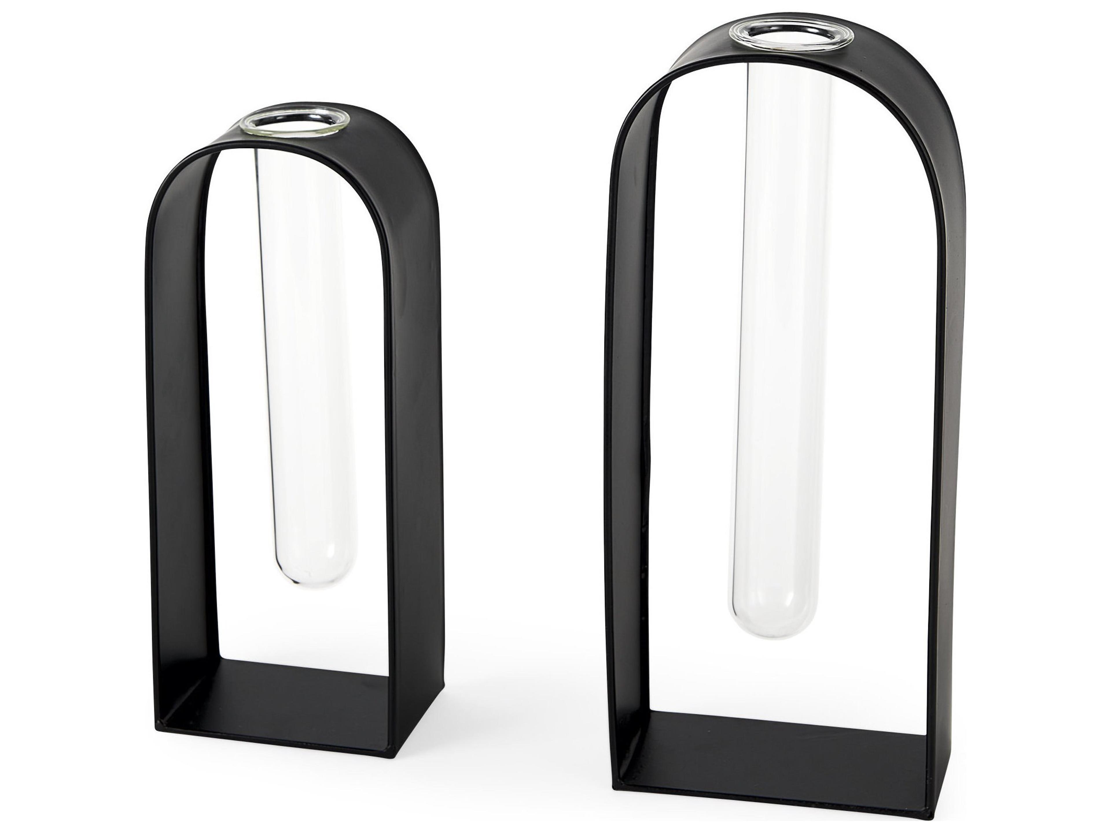 Mercana Boyer 5.1L x 3.0W x 12.0H Black Metal W/Glass Set of Two Test Tube Decorative Objects