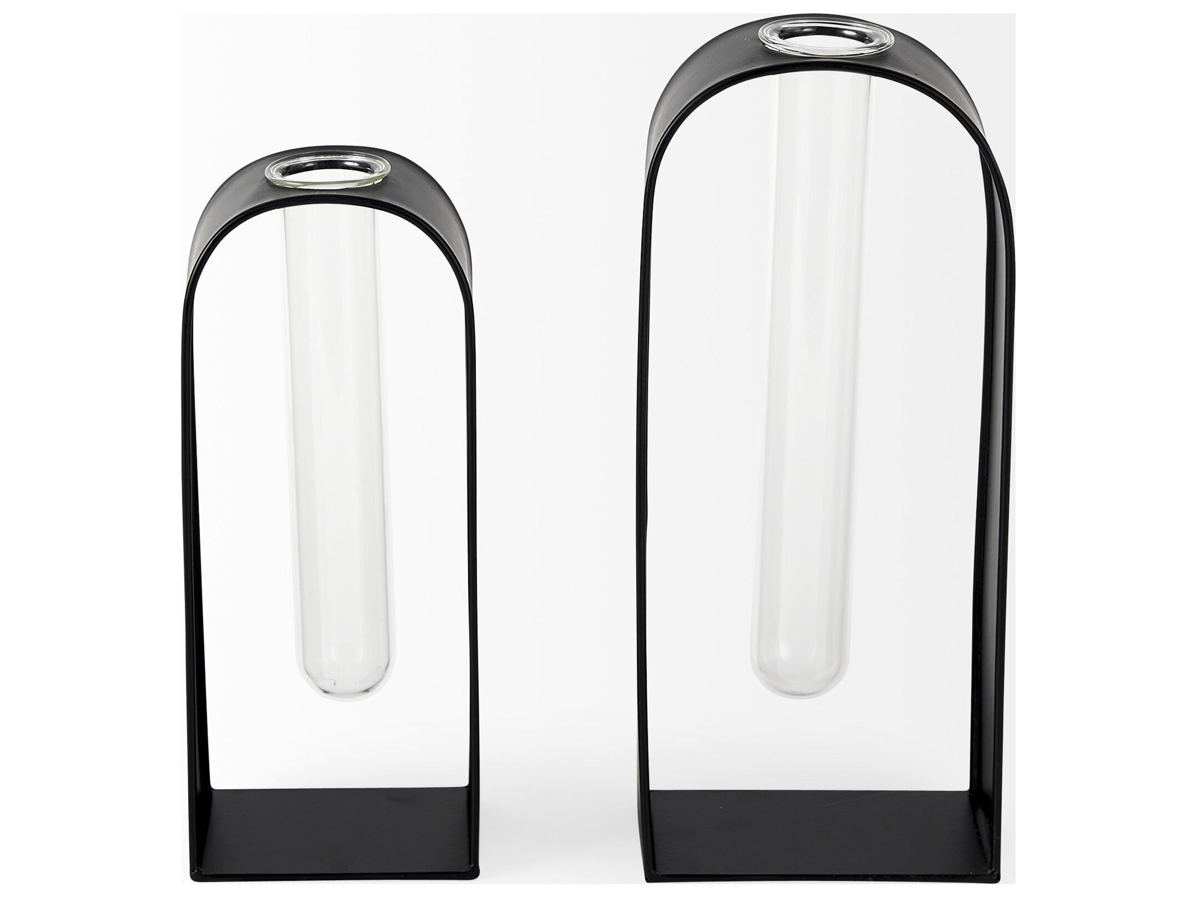 Mercana Boyer 5.1L x 3.0W x 12.0H Black Metal W/Glass Set of Two Test Tube Decorative Objects