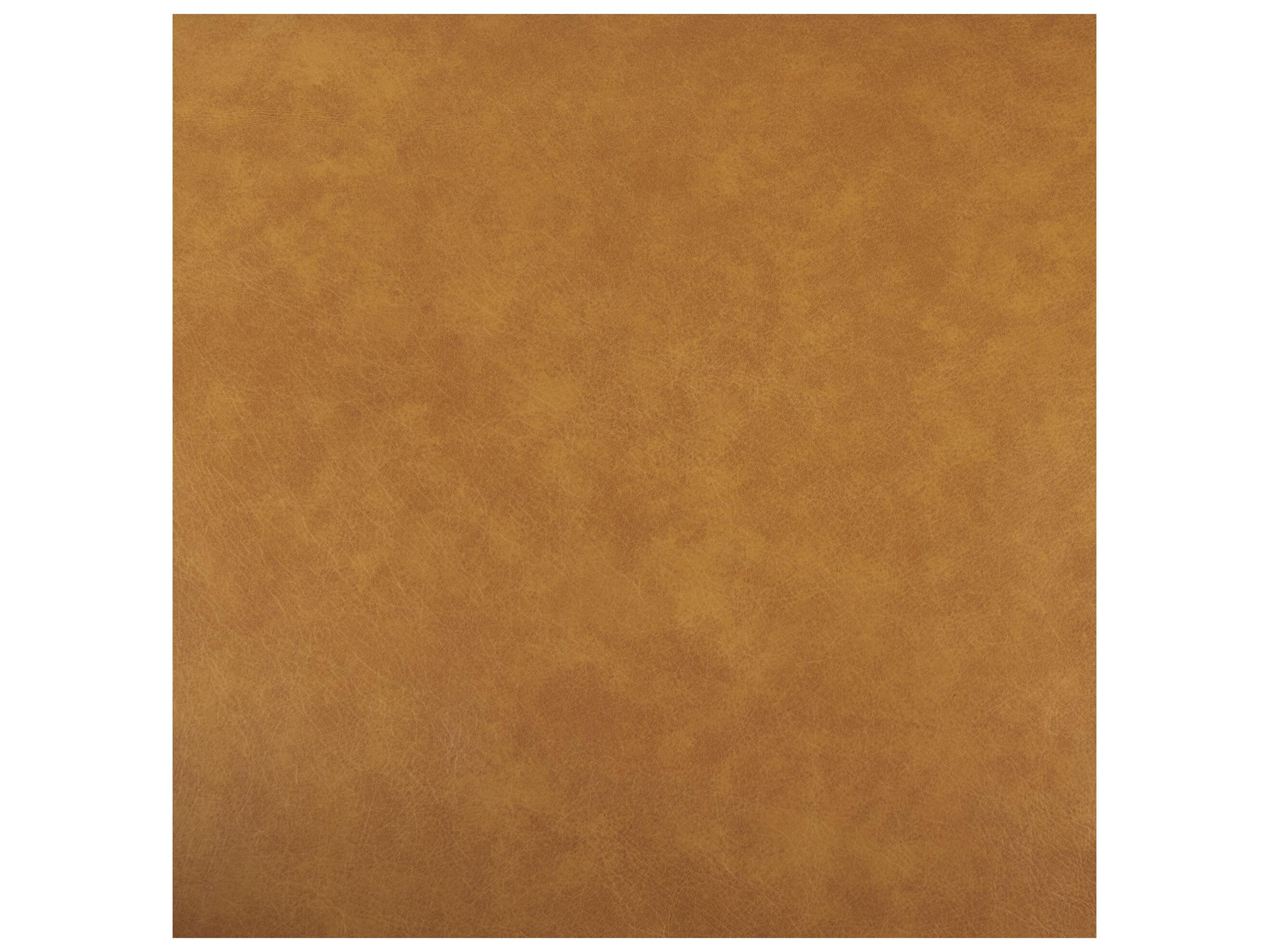 Mercana D'Arcy 65.0L x 37.0W x 34.0H Tan Leather Love Seat