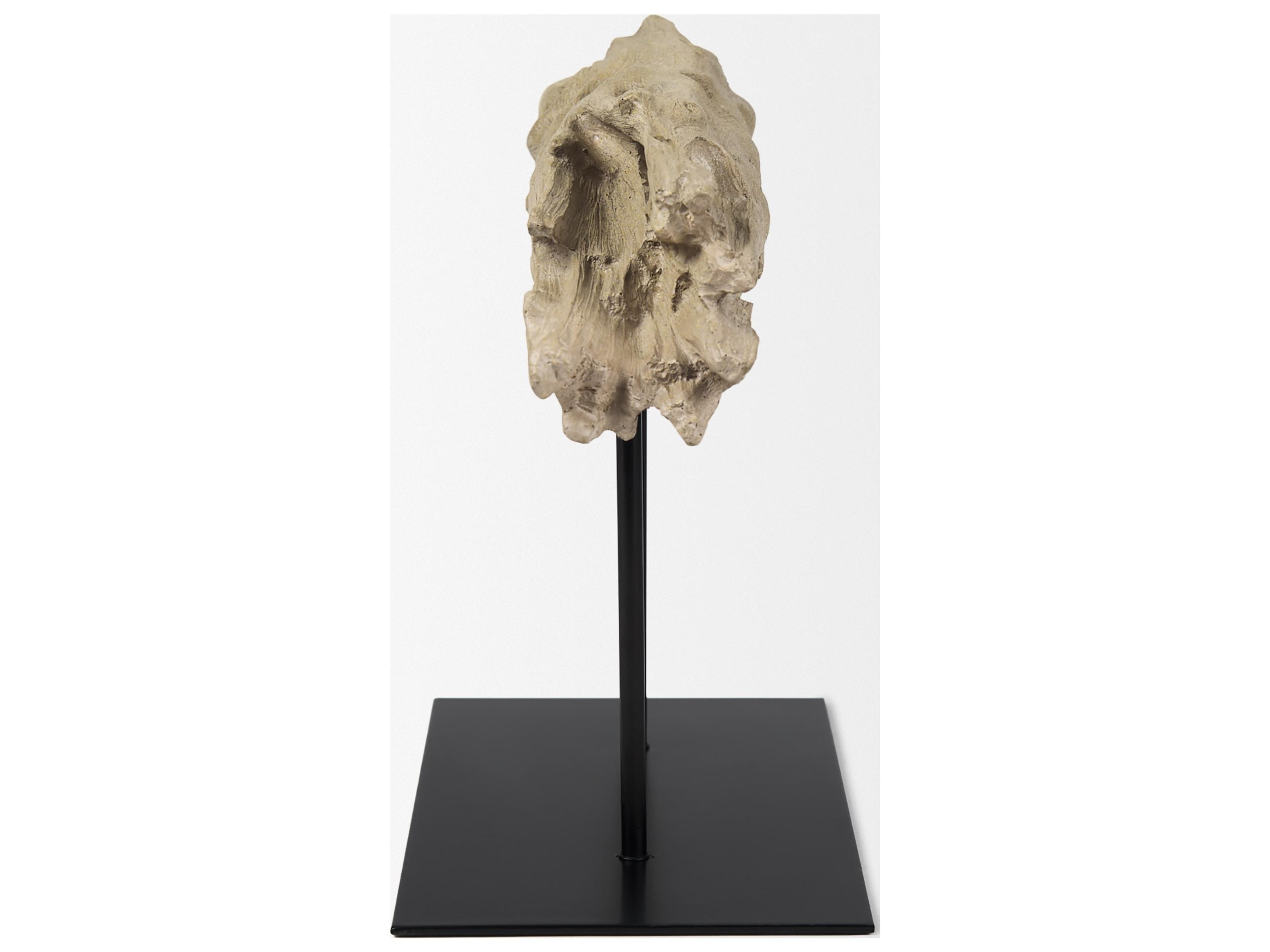 Mercana Dwell Cholla Wood Resin Decorative Object