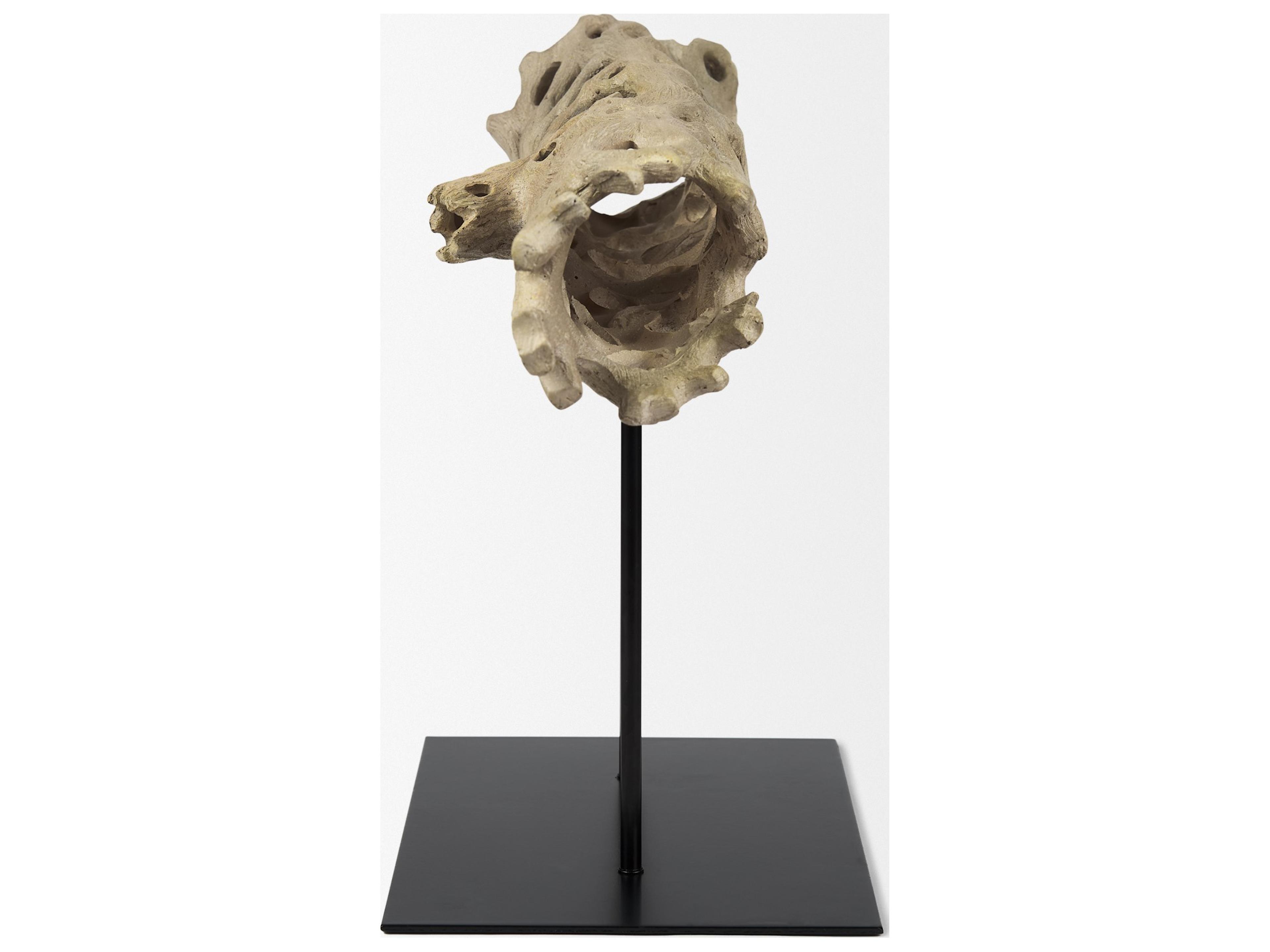 Mercana Dwell Cholla Wood Resin Decorative Object