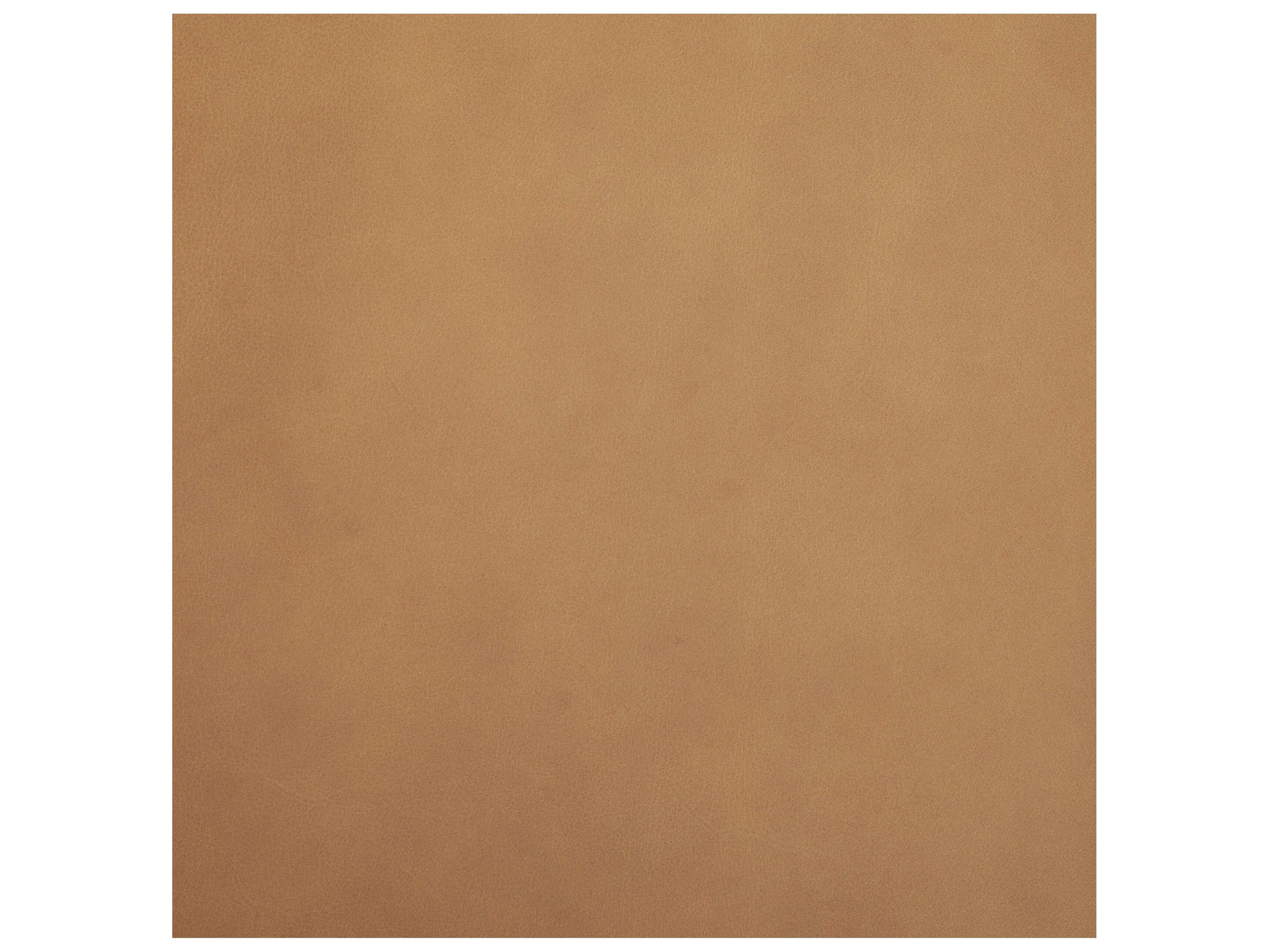 Mercana Abbie Slope Curved Back Tan Leather Dining Side Chair