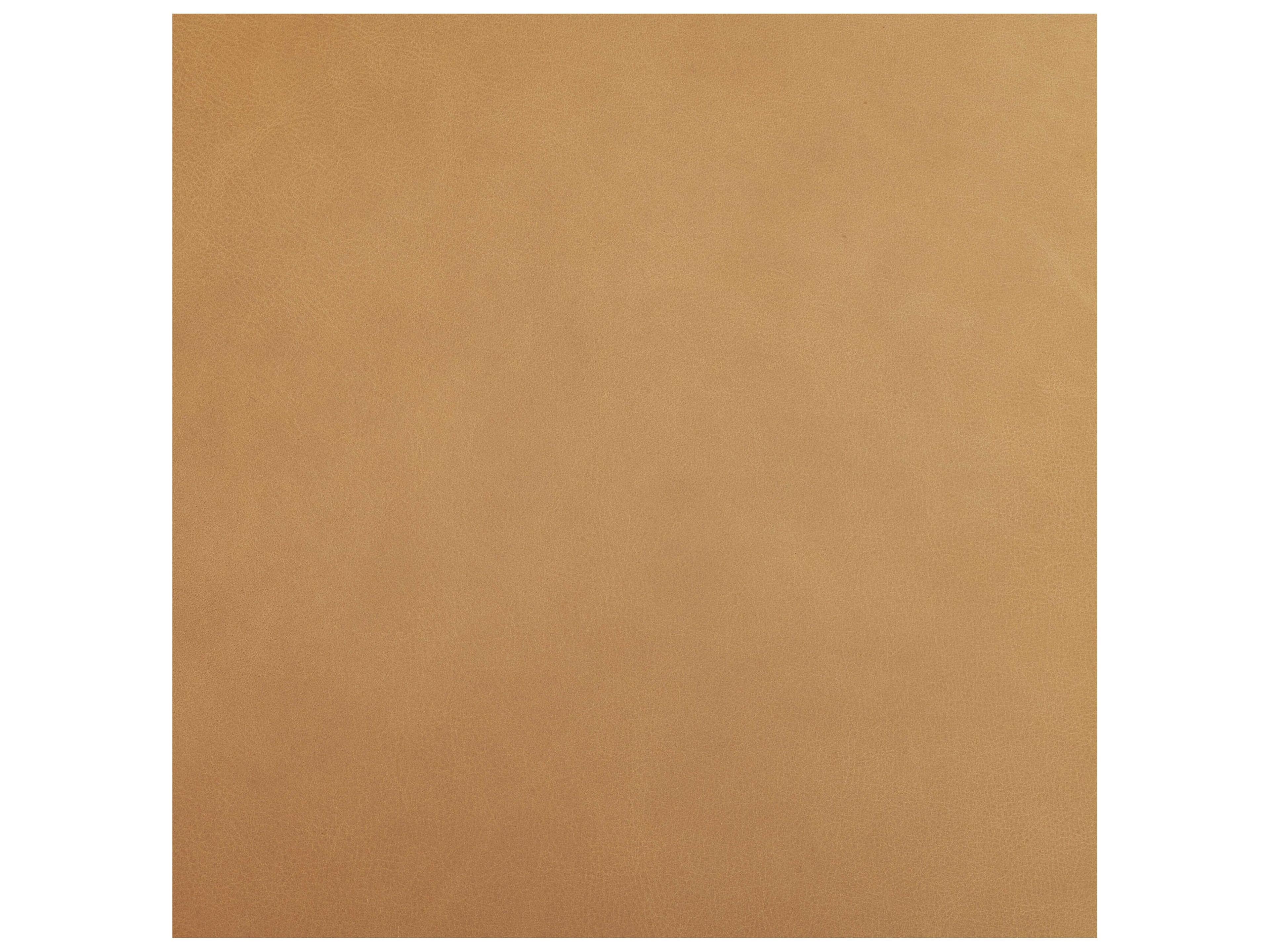 Mercana Nolan Slope Tan Leather Dining Chair