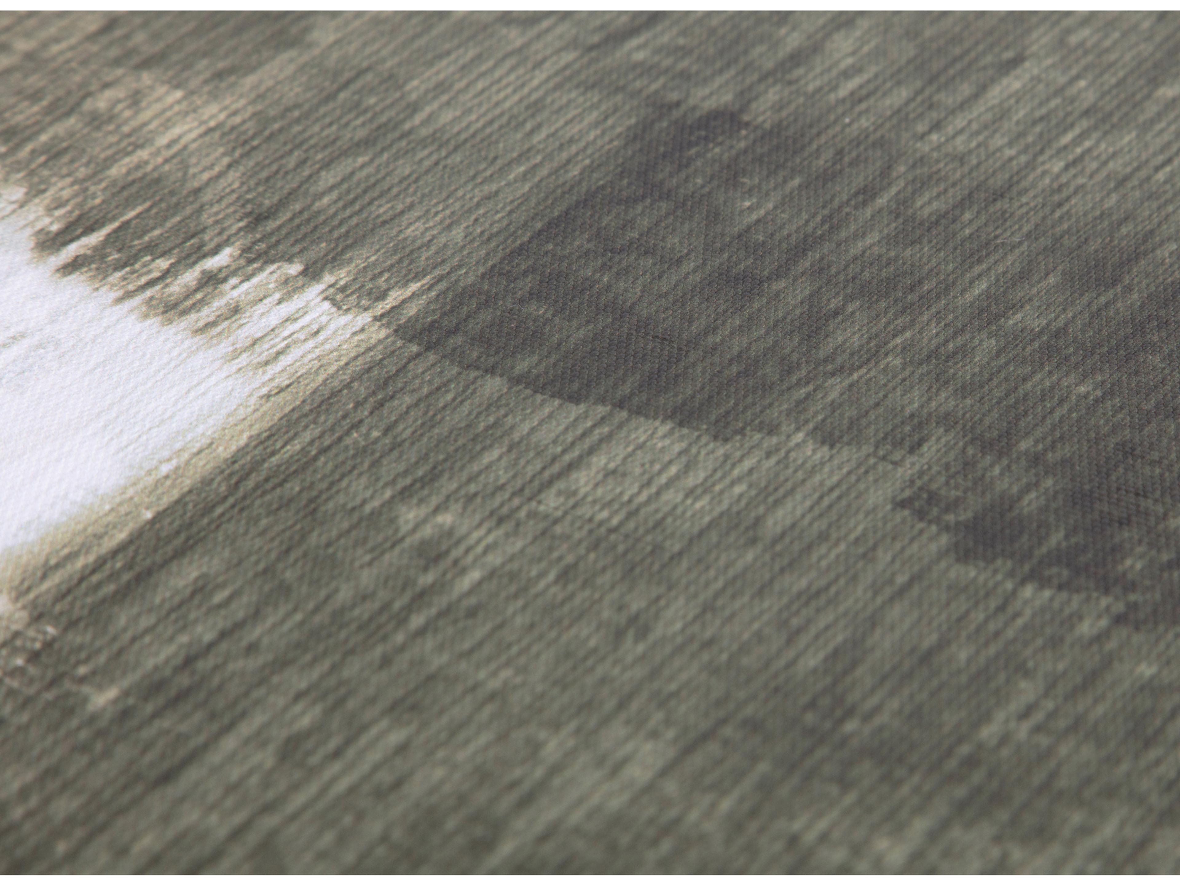 Moe's Home Brush Canvas Wall Art