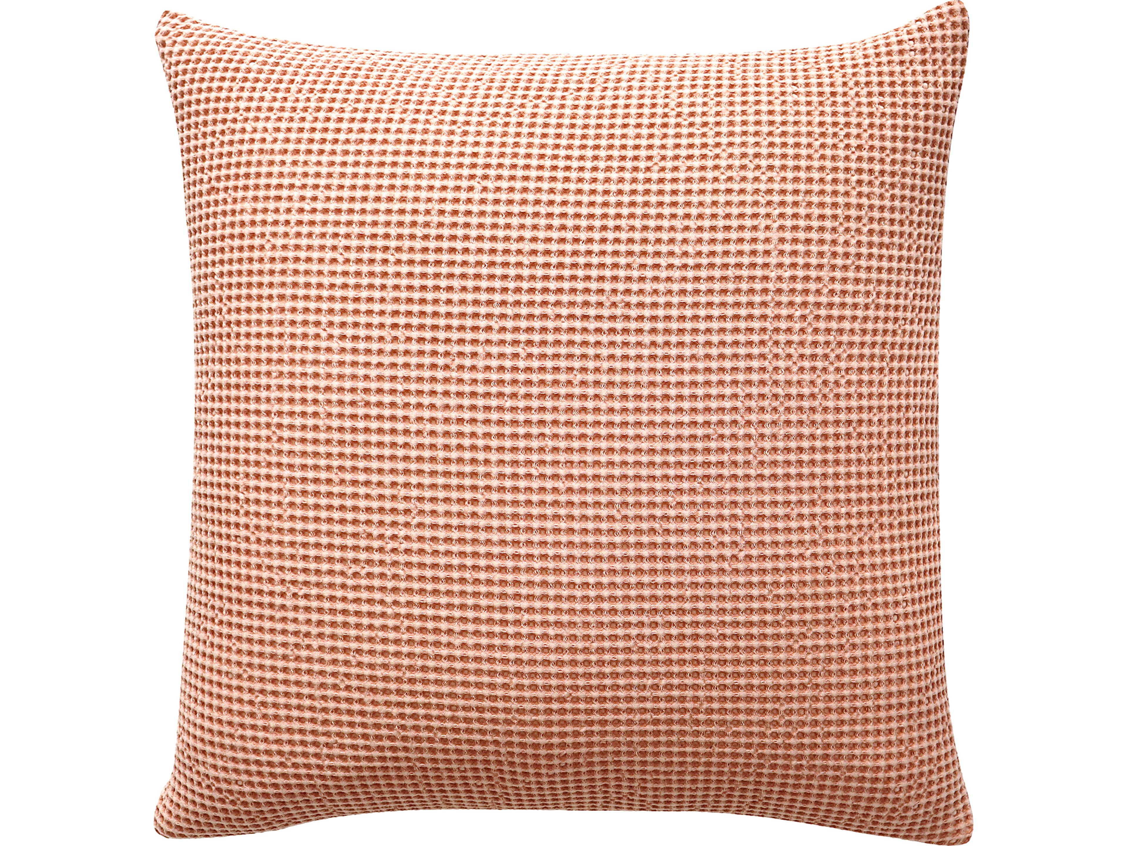 Ria Desert Pink 22" Pillow