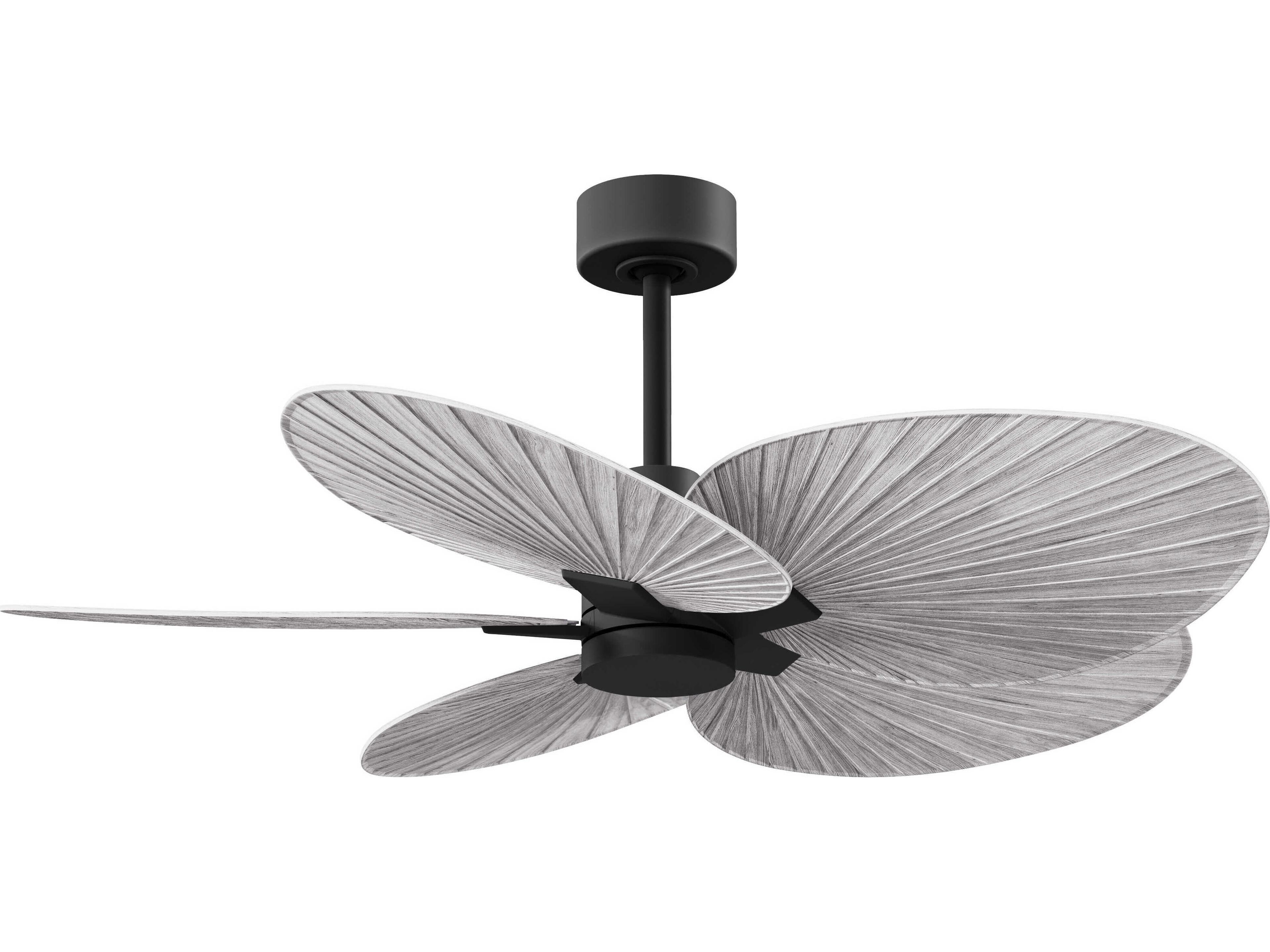 Matthews Fan Alessandra 48" Ceiling Fan