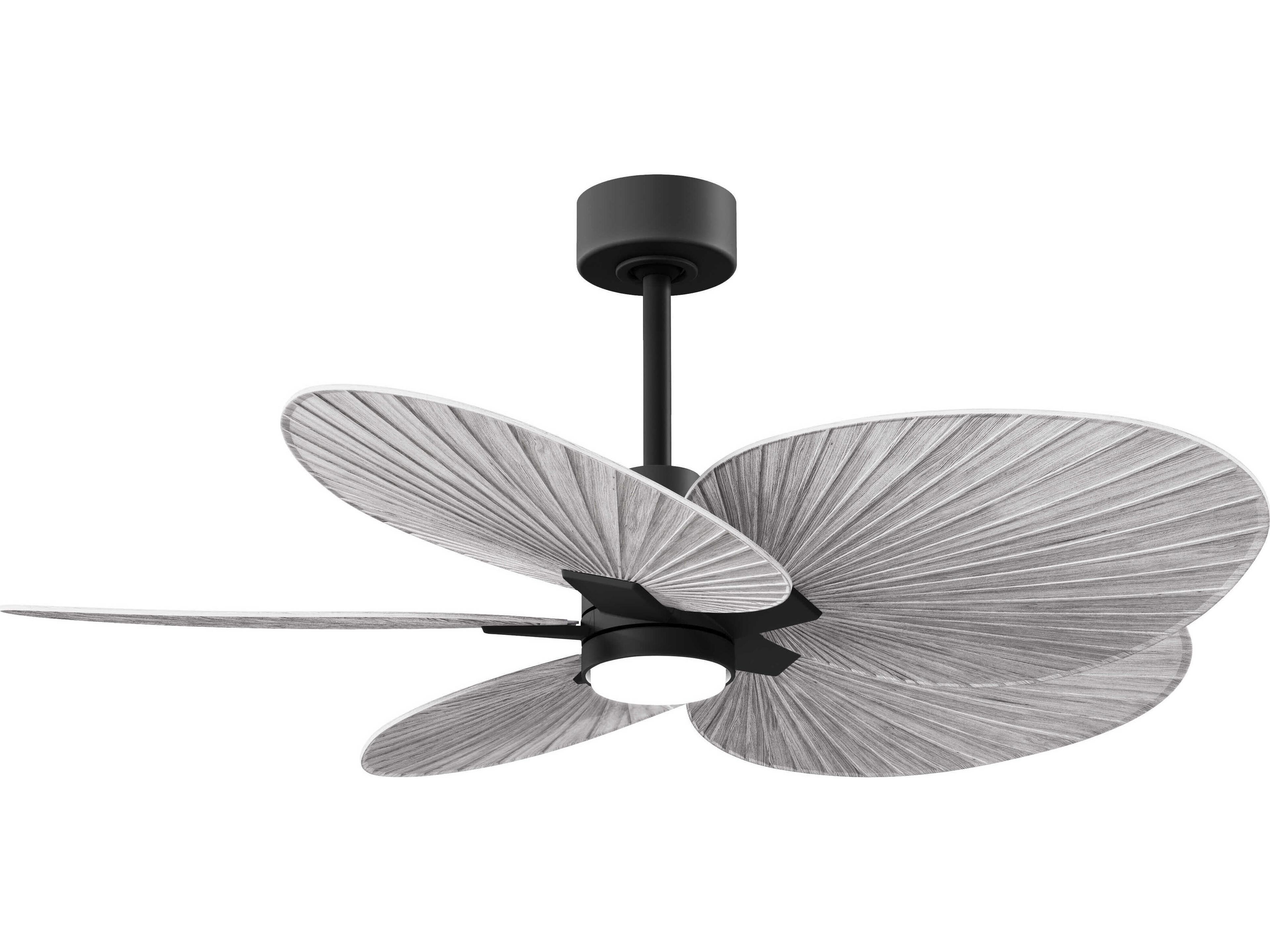Matthews Fan Alessandra 48" LED Ceiling Fan