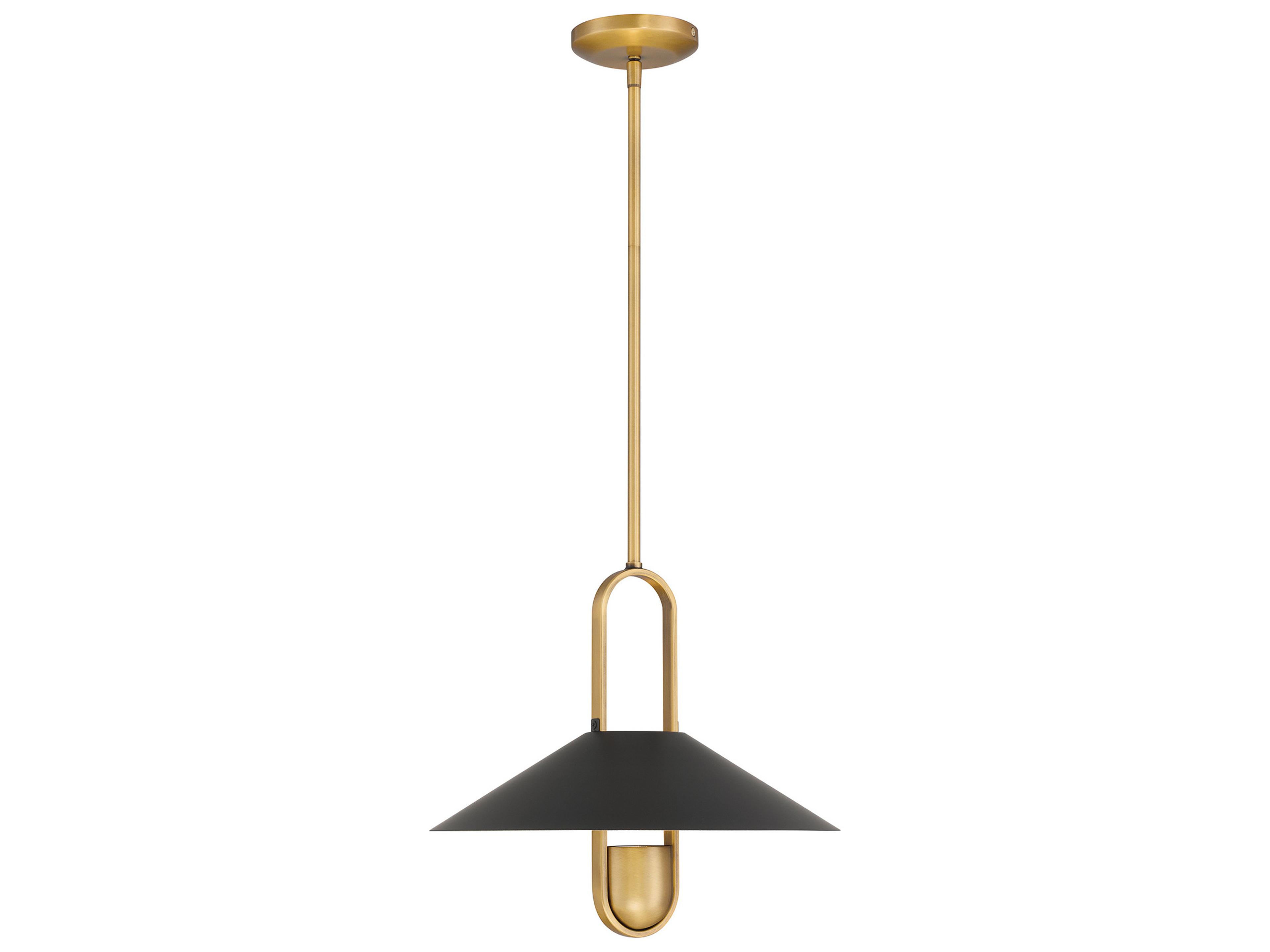 Goldenridge 1-Light Legacy Brass Dark Matte Black Pendant