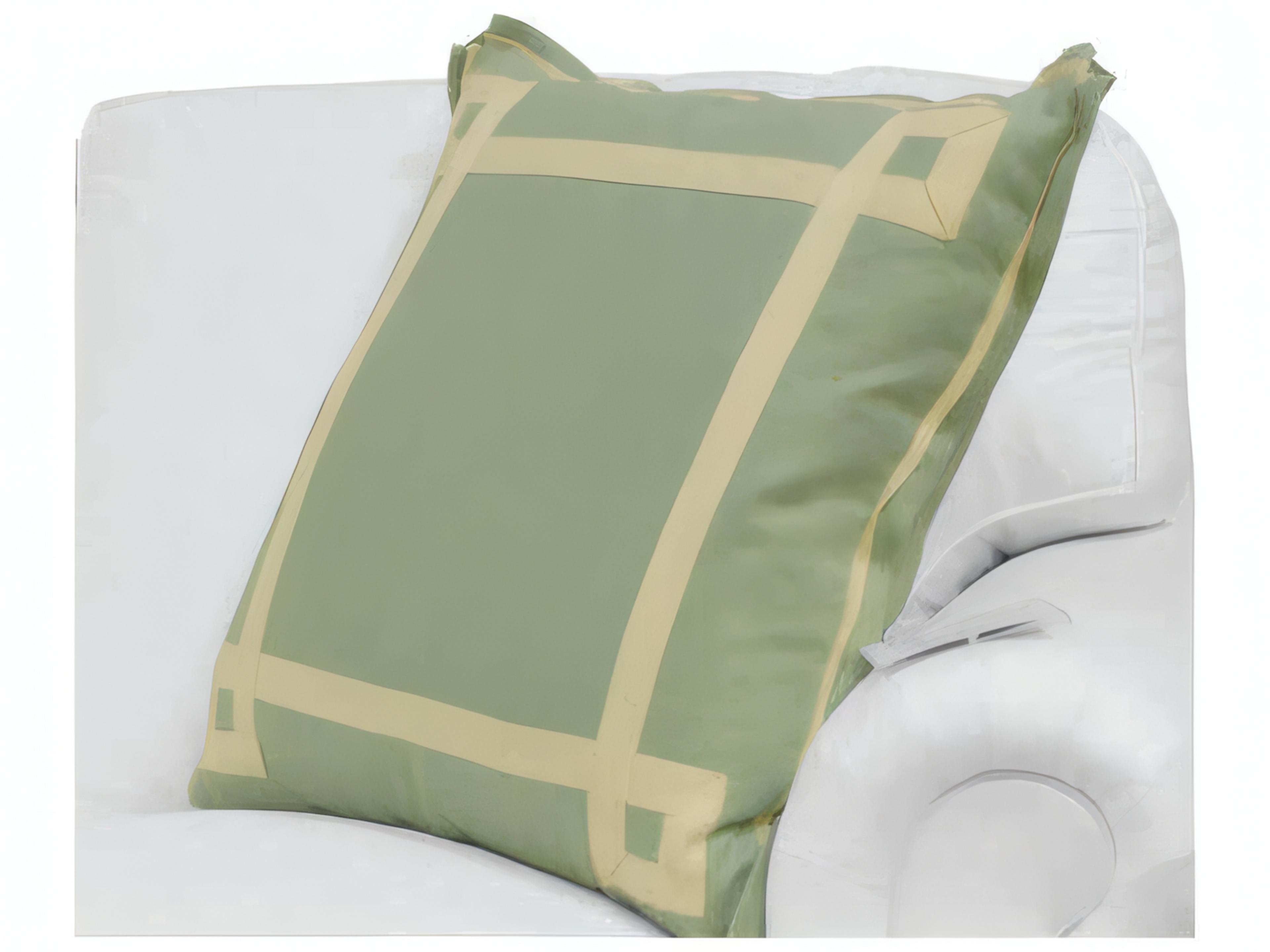 Mr. & Mrs. Howard Designer Throw Pillow