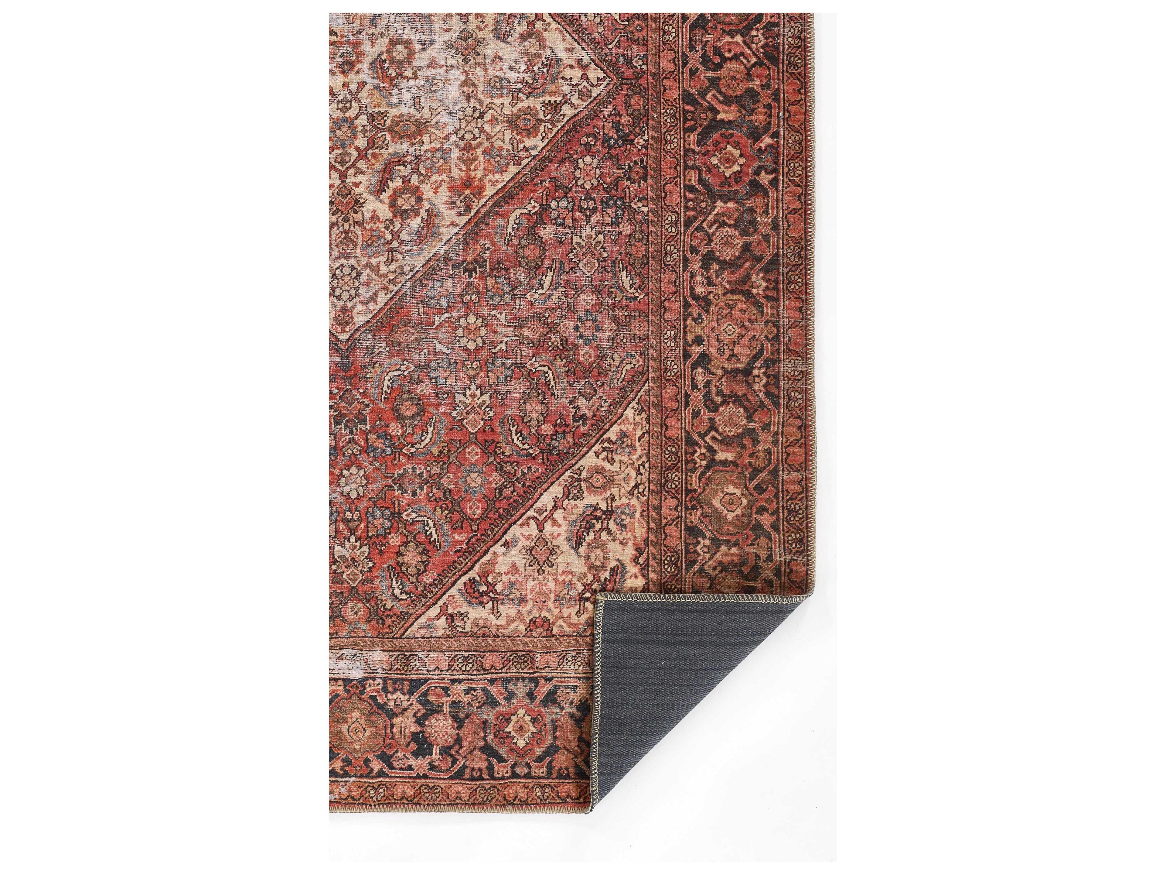 Momeni Afshar Bordered Runner Area Rug