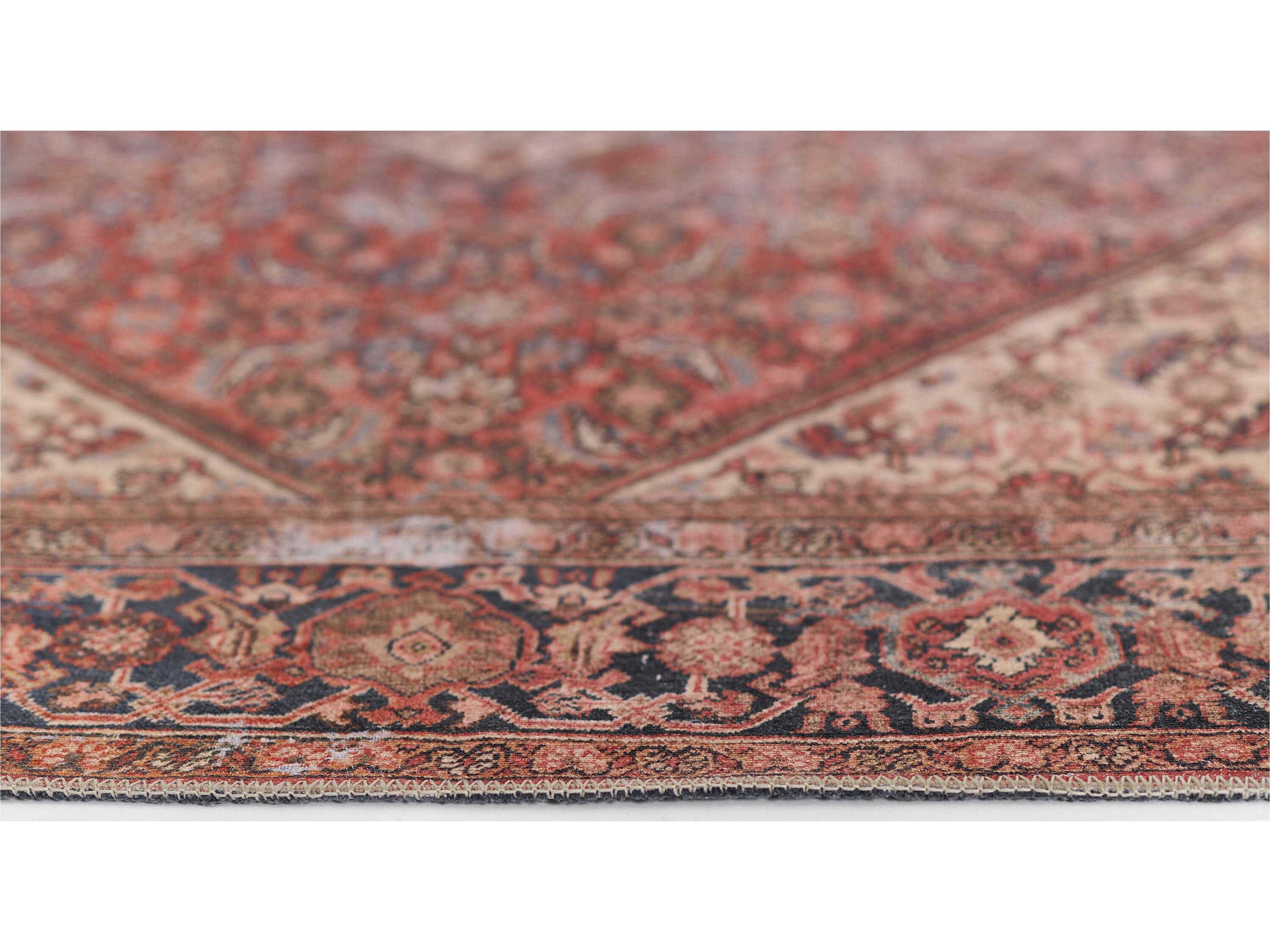 Momeni Afshar Bordered Runner Area Rug