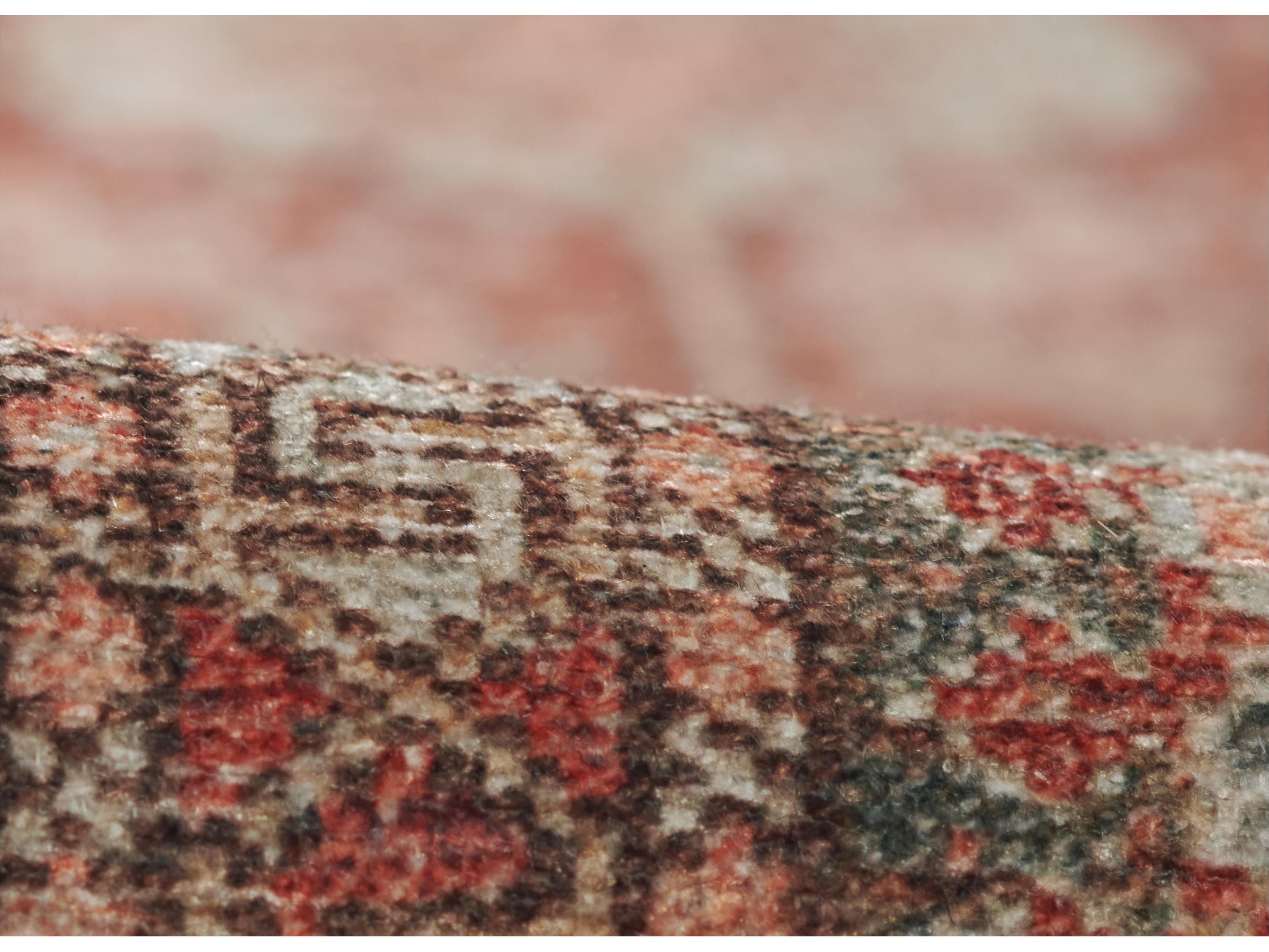 Momeni Ariana Bordered Area Rug