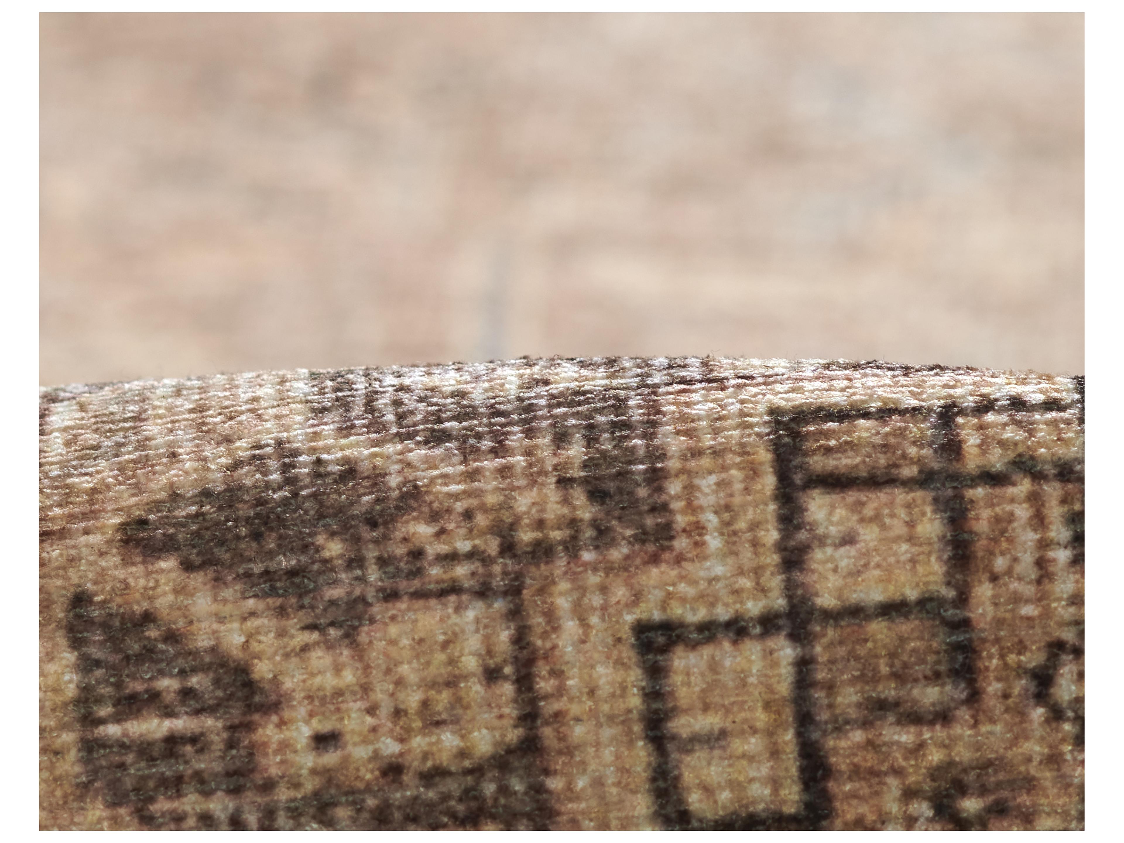 Momeni Ariana Bordered Area Rug