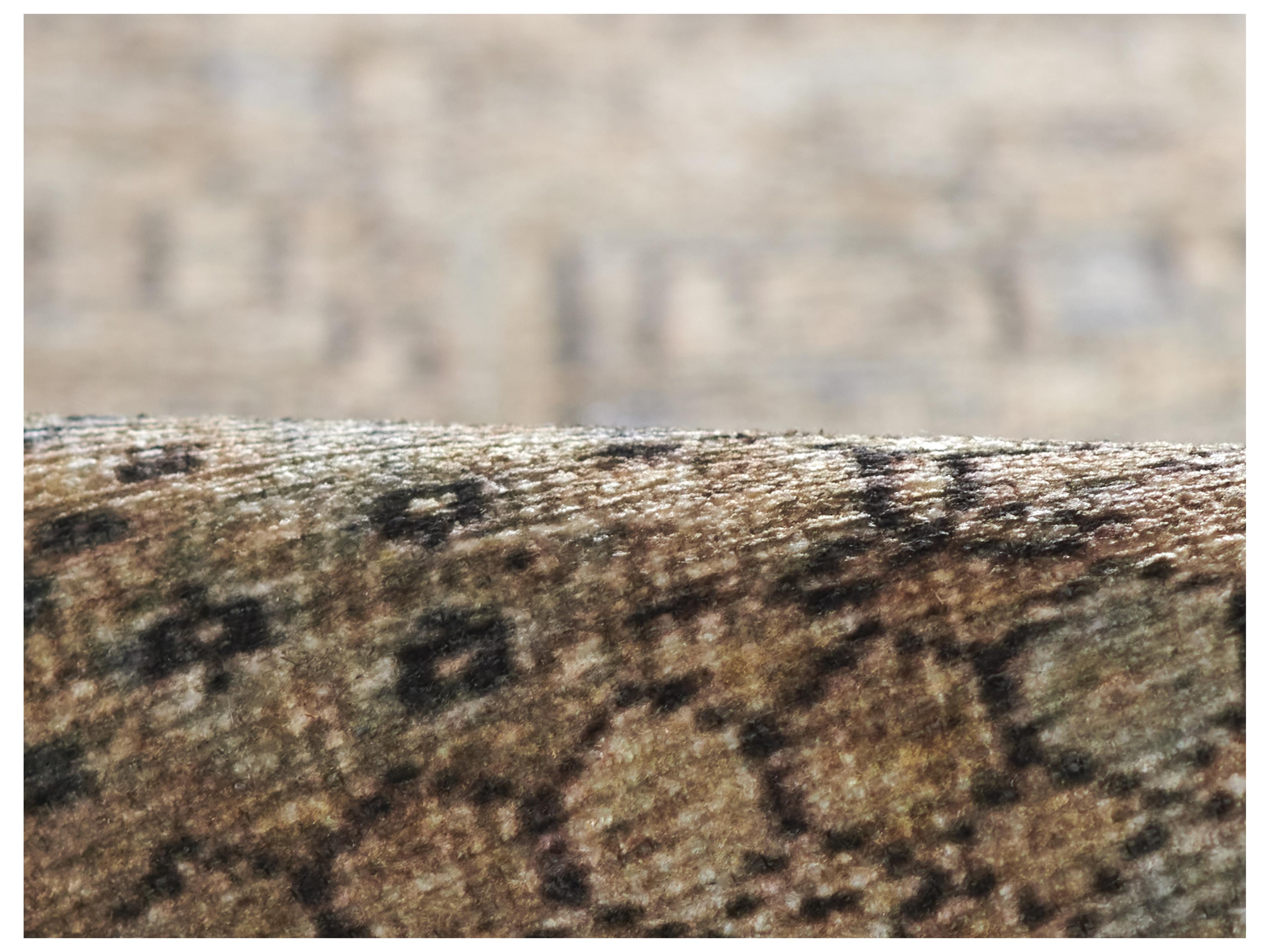 Momeni Ariana Bordered Area Rug