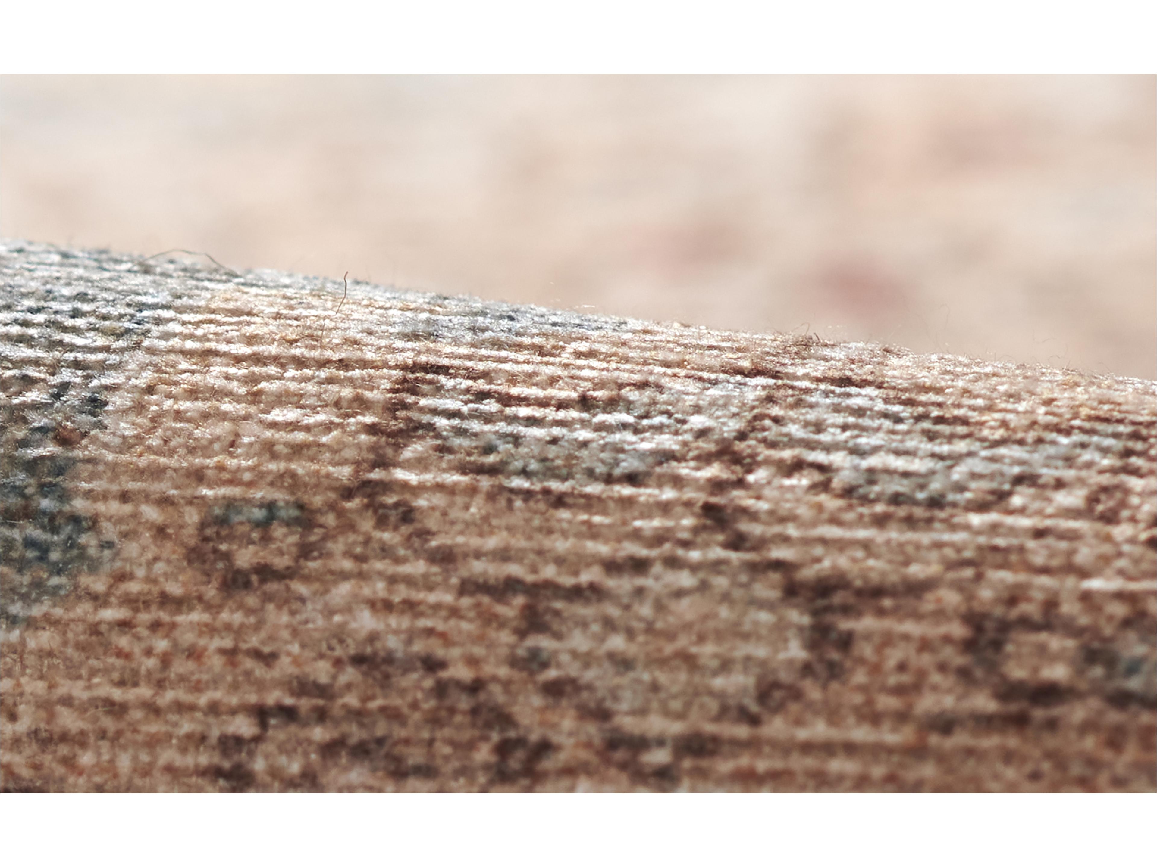 Momeni Ariana Bordered Area Rug