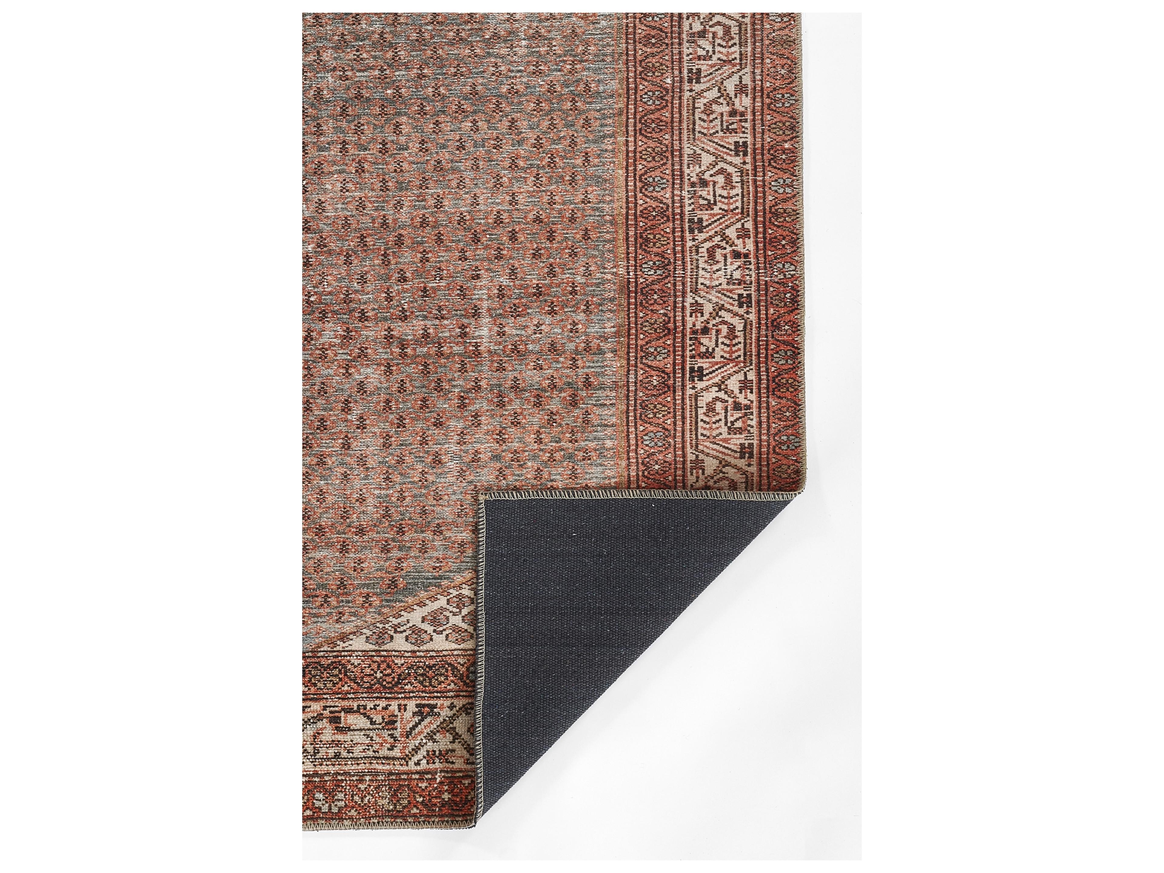 Momeni Ariana Bordered Area Rug