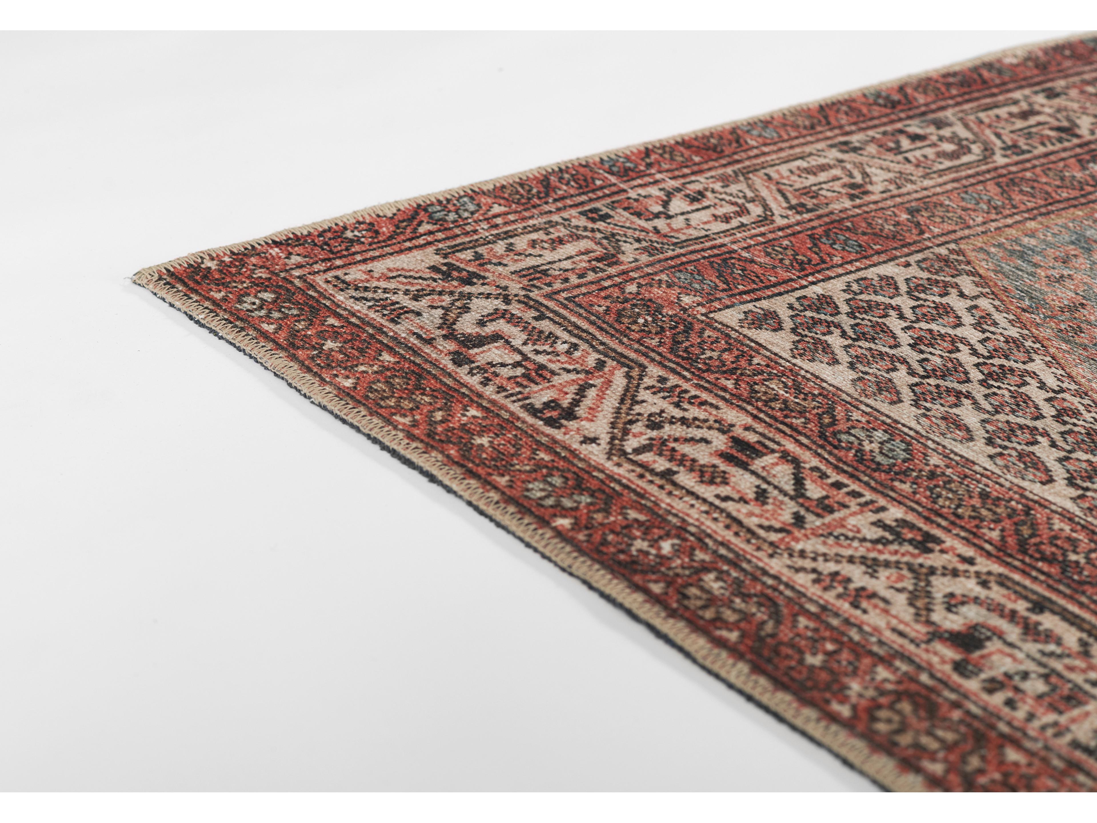 Momeni Ariana Bordered Area Rug
