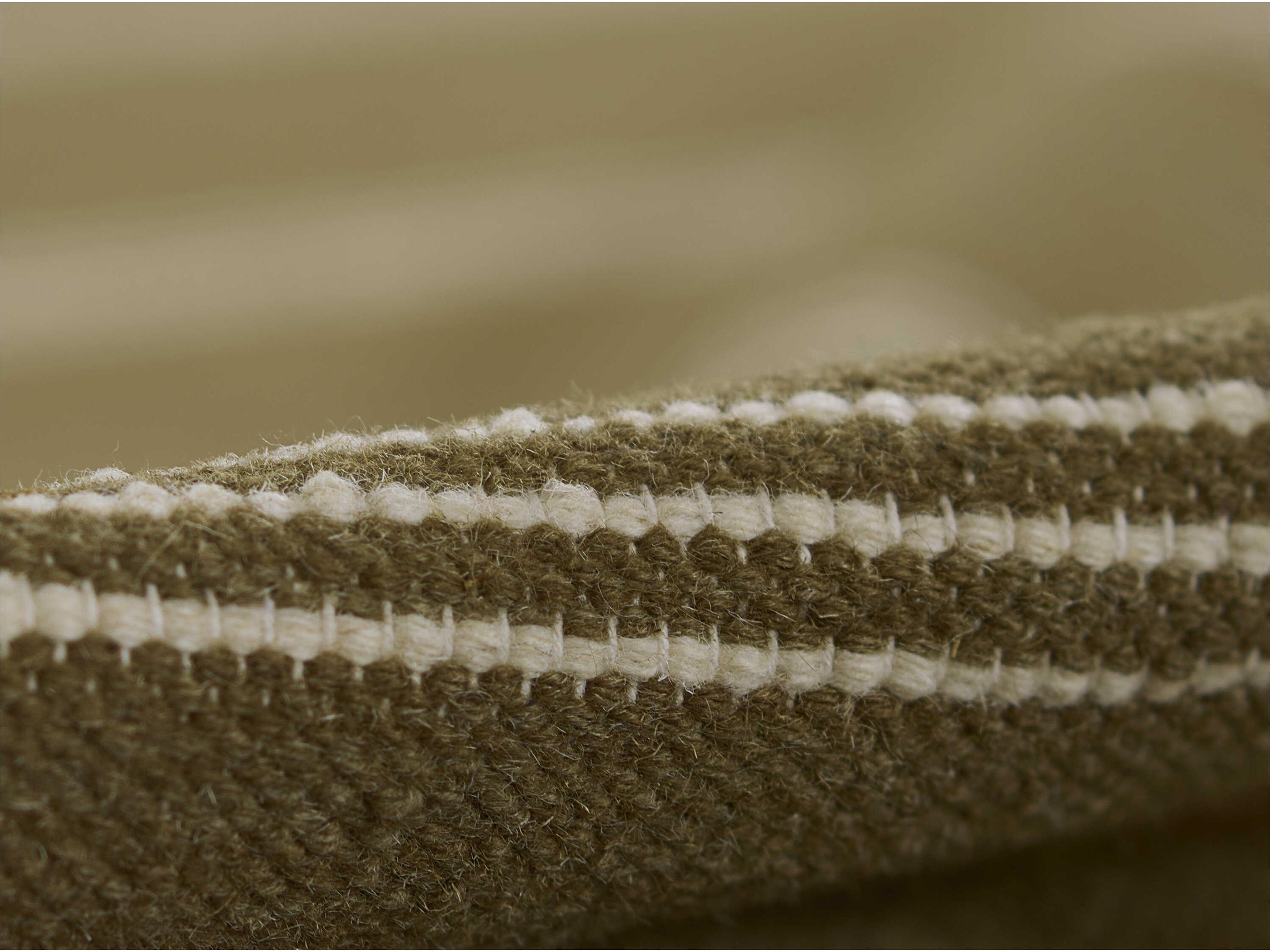 Momeni Caseres Striped Area Rug