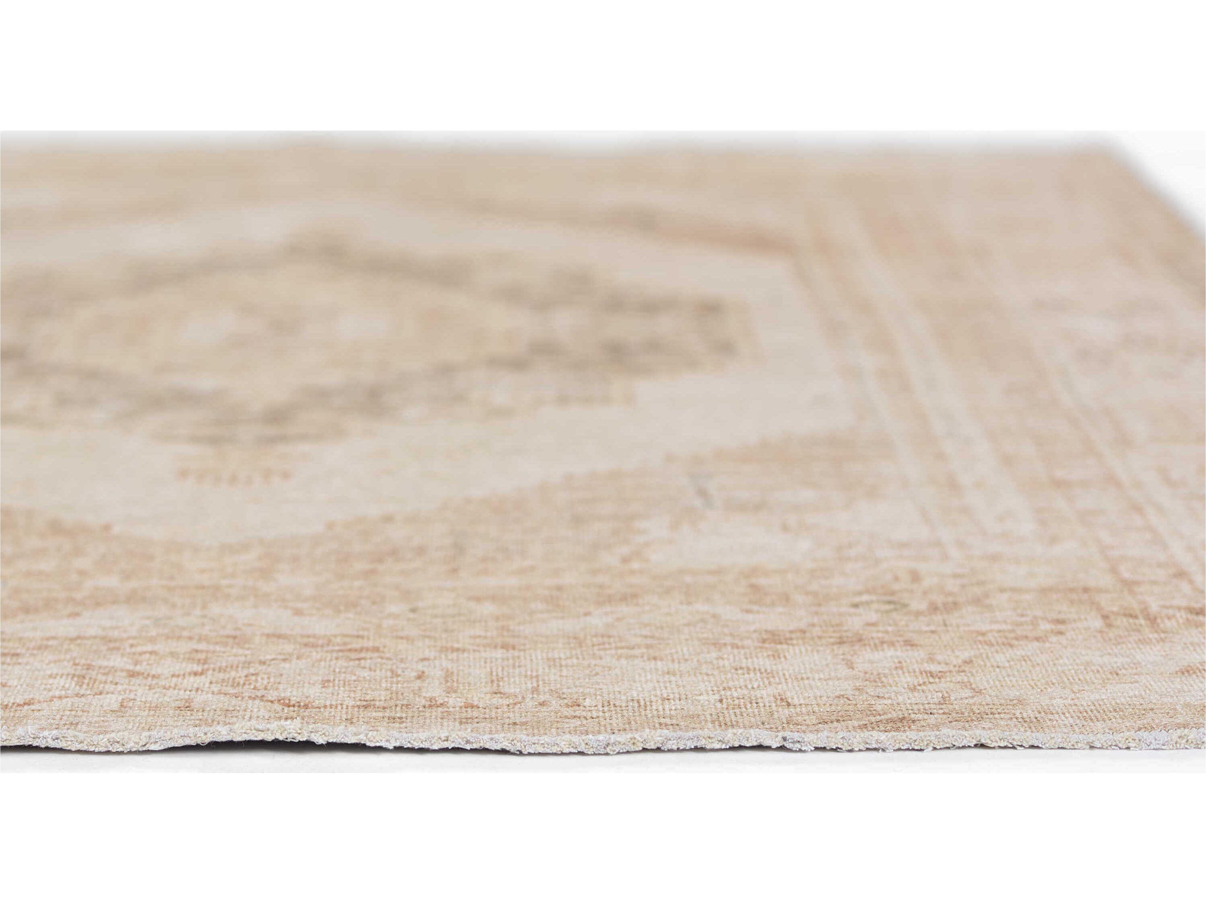 Momeni Chandler Bordered Area Rug