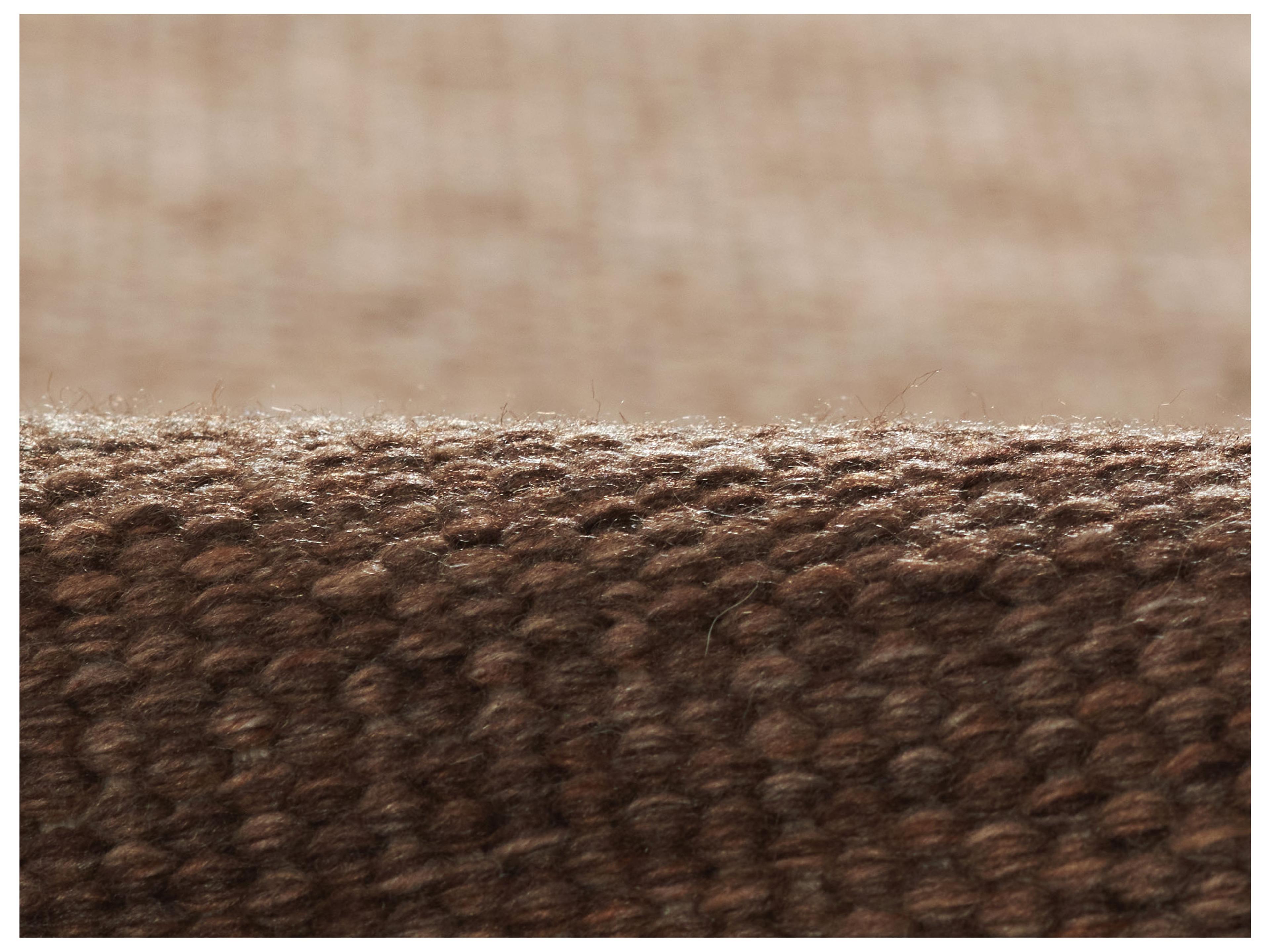 Momeni Cove Area Rug