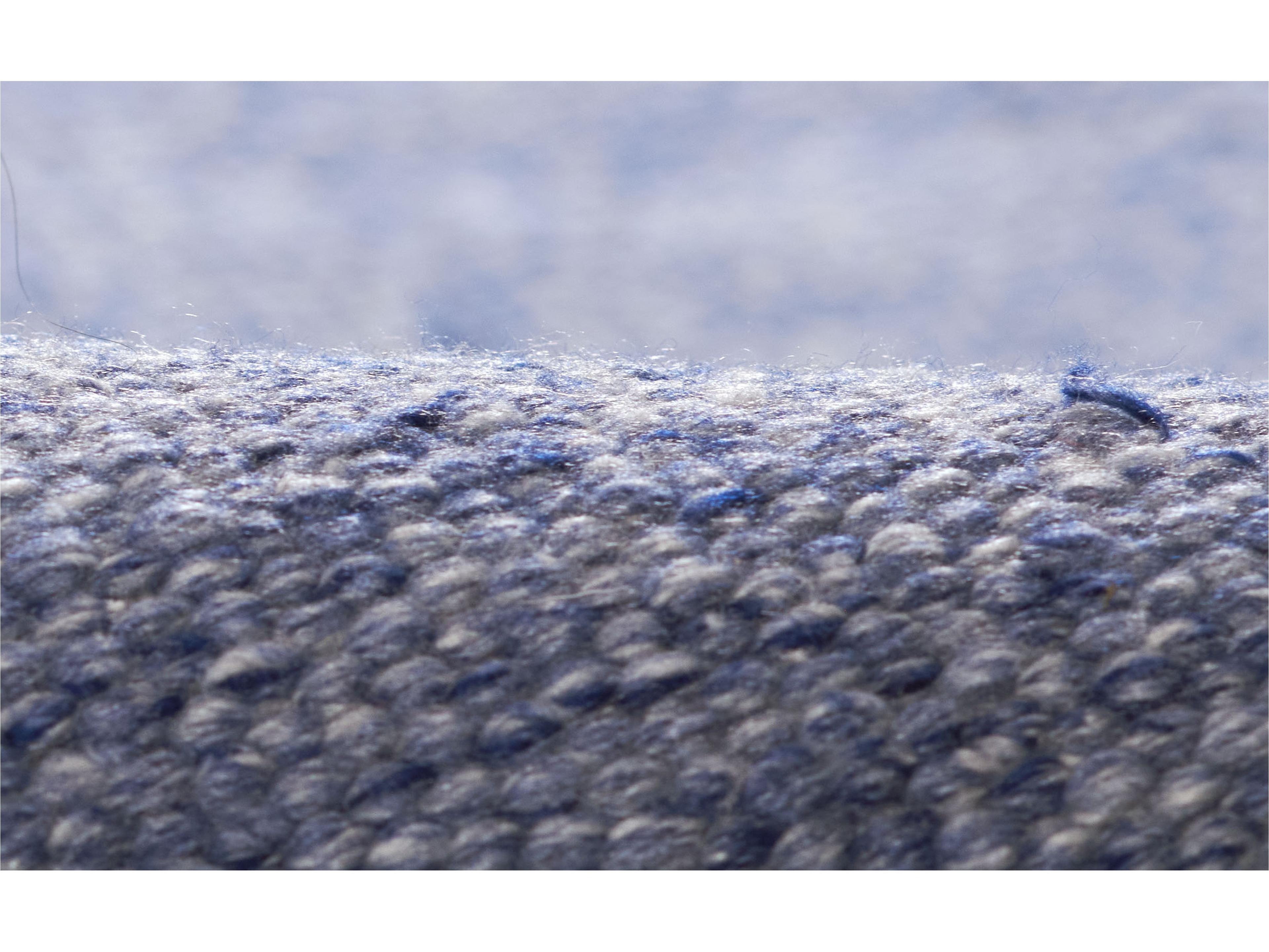 Momeni Cove Area Rug