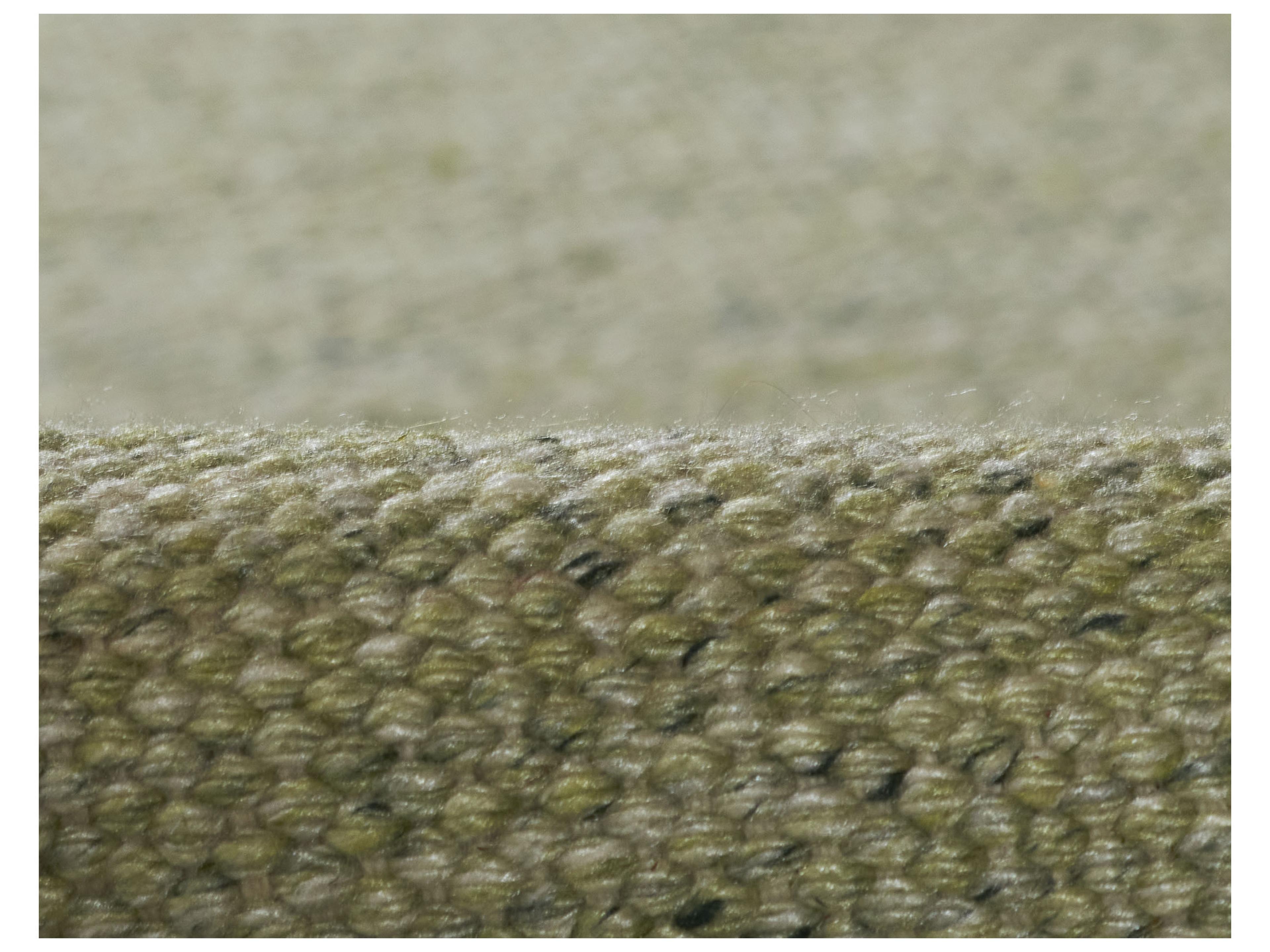 Momeni Cove Area Rug