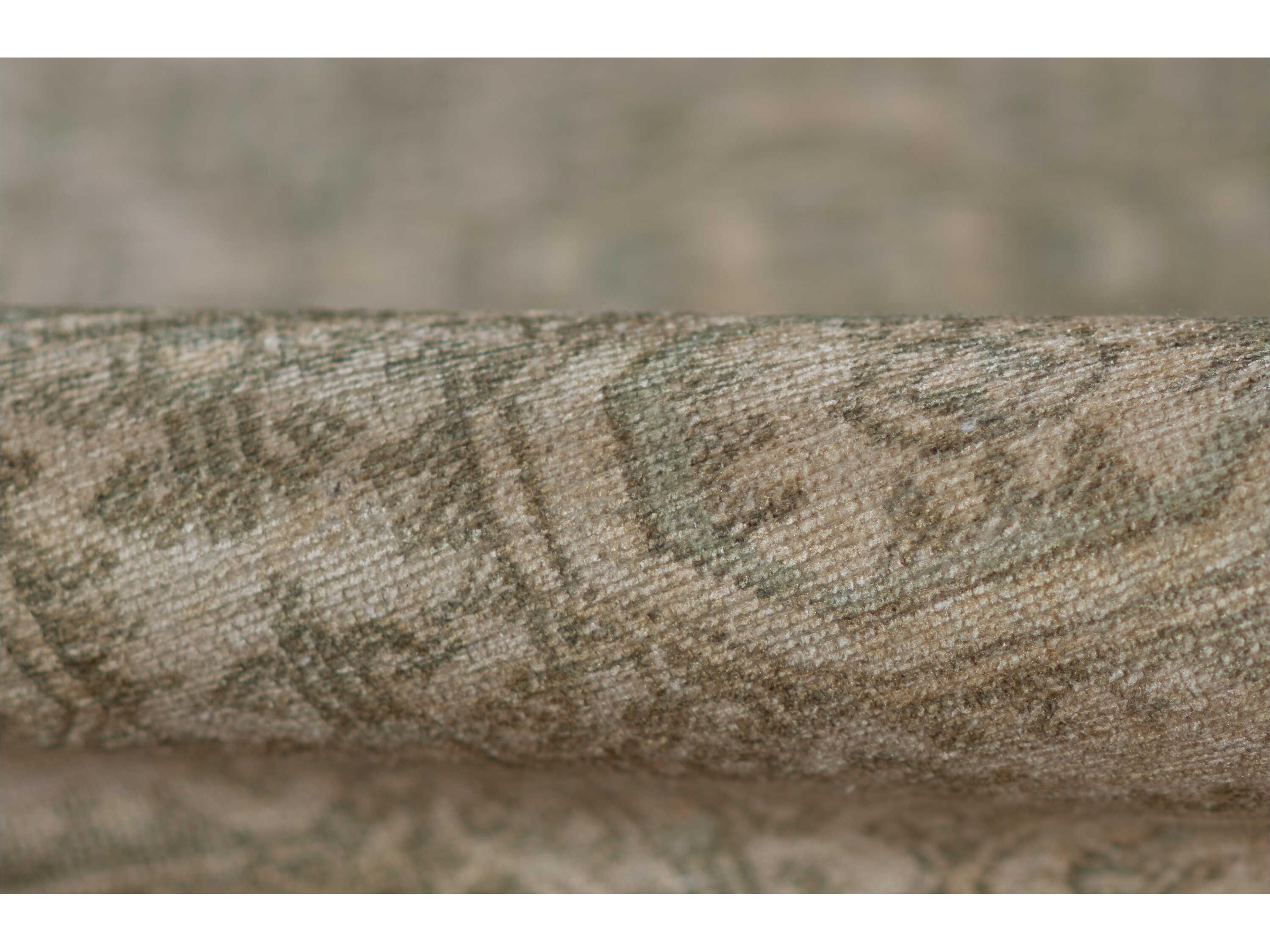 Momeni Dorset Bordered Runner Area Rug