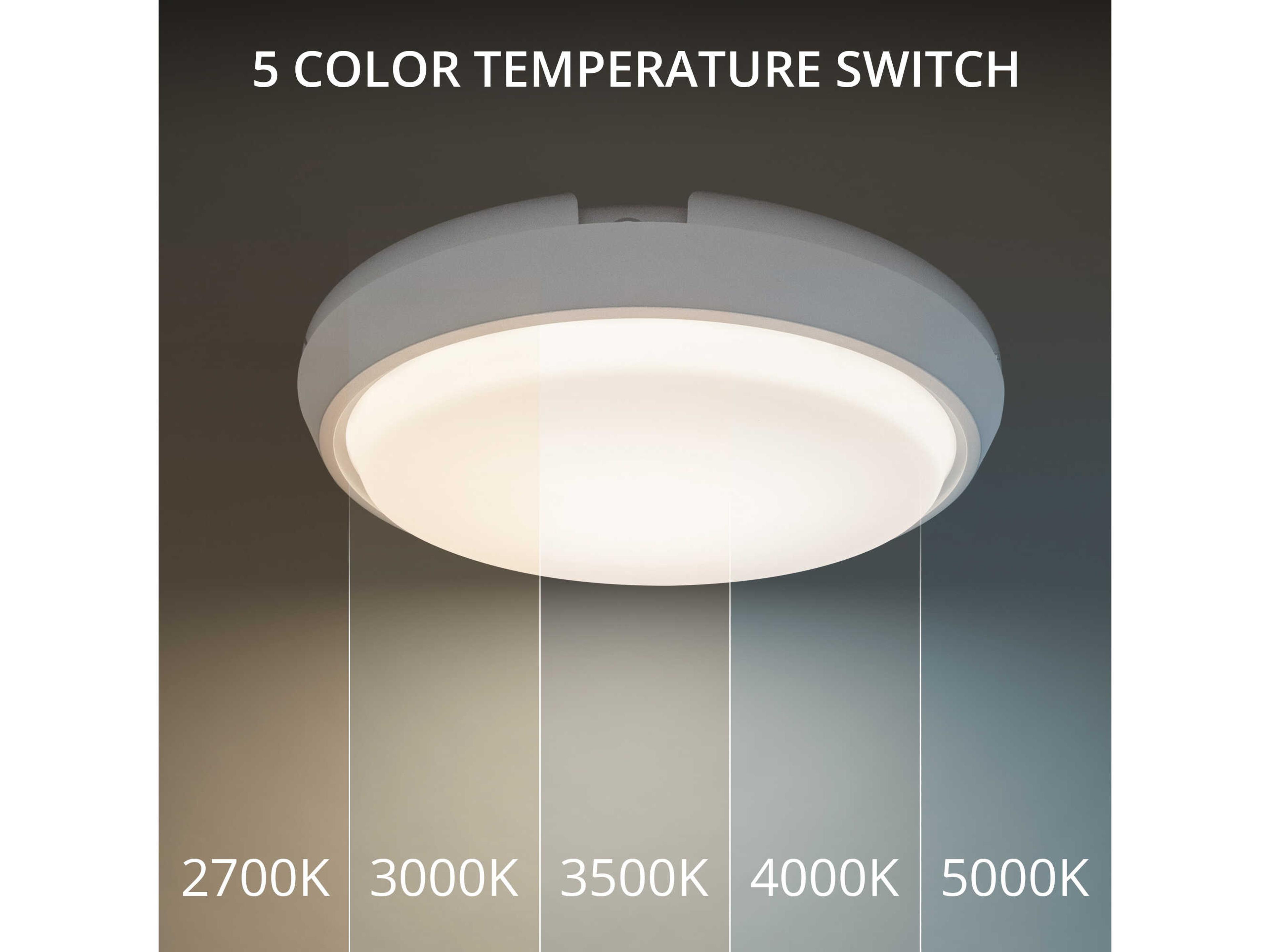 Modern Forms Zenith 1-Light Titanium White Glass LED Round Flush Mount