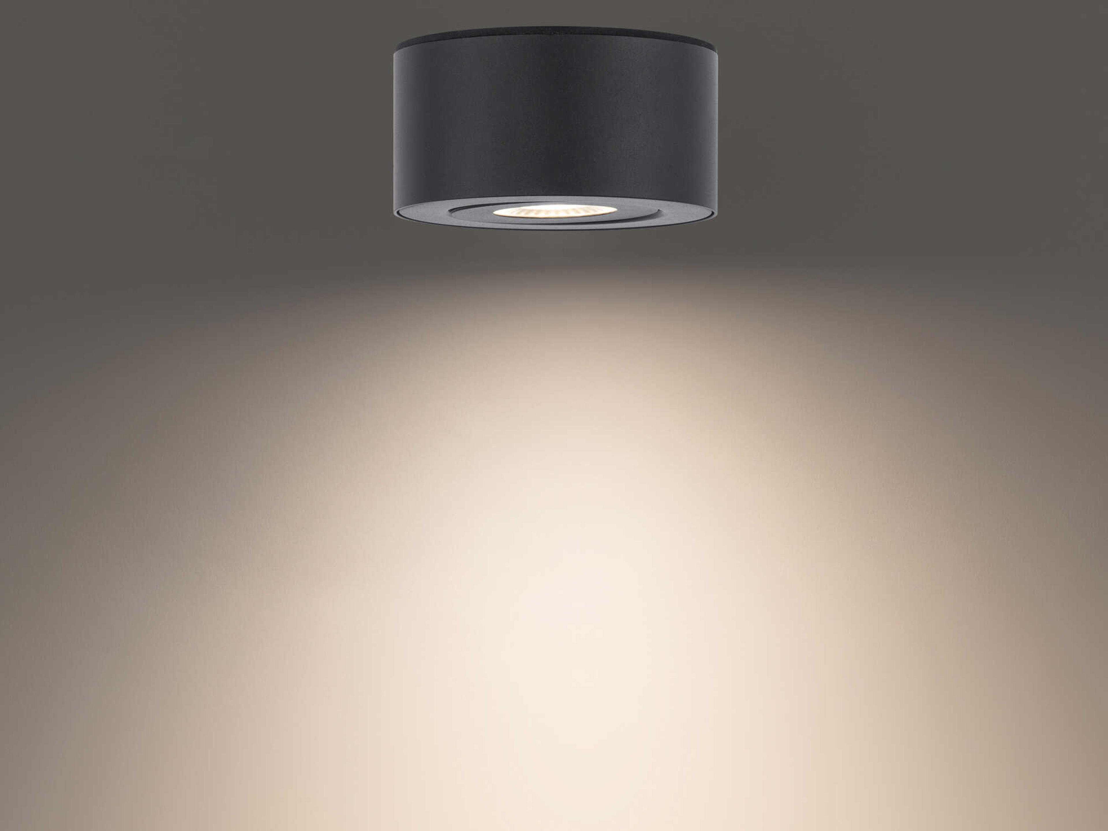 Modern Forms I Spy 1 - Light Outdoor Wall Light