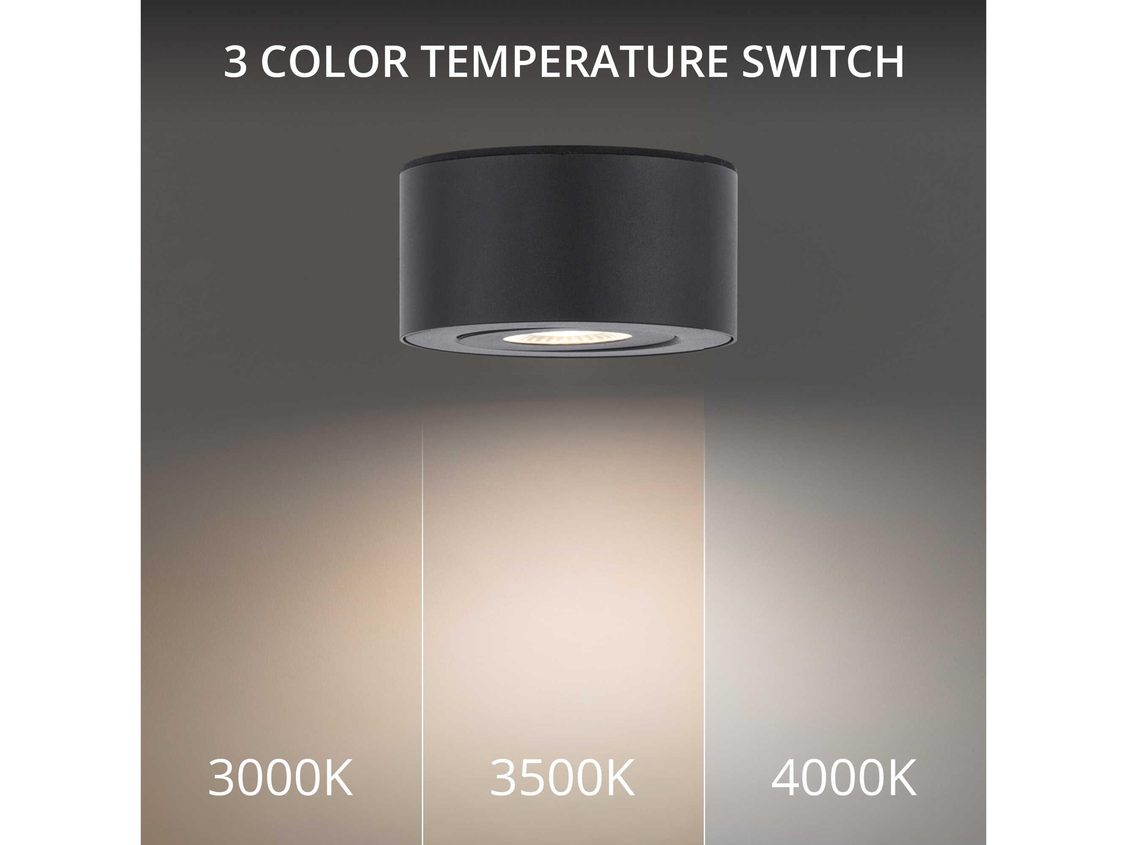 Modern Forms I Spy 1 - Light Outdoor Wall Light