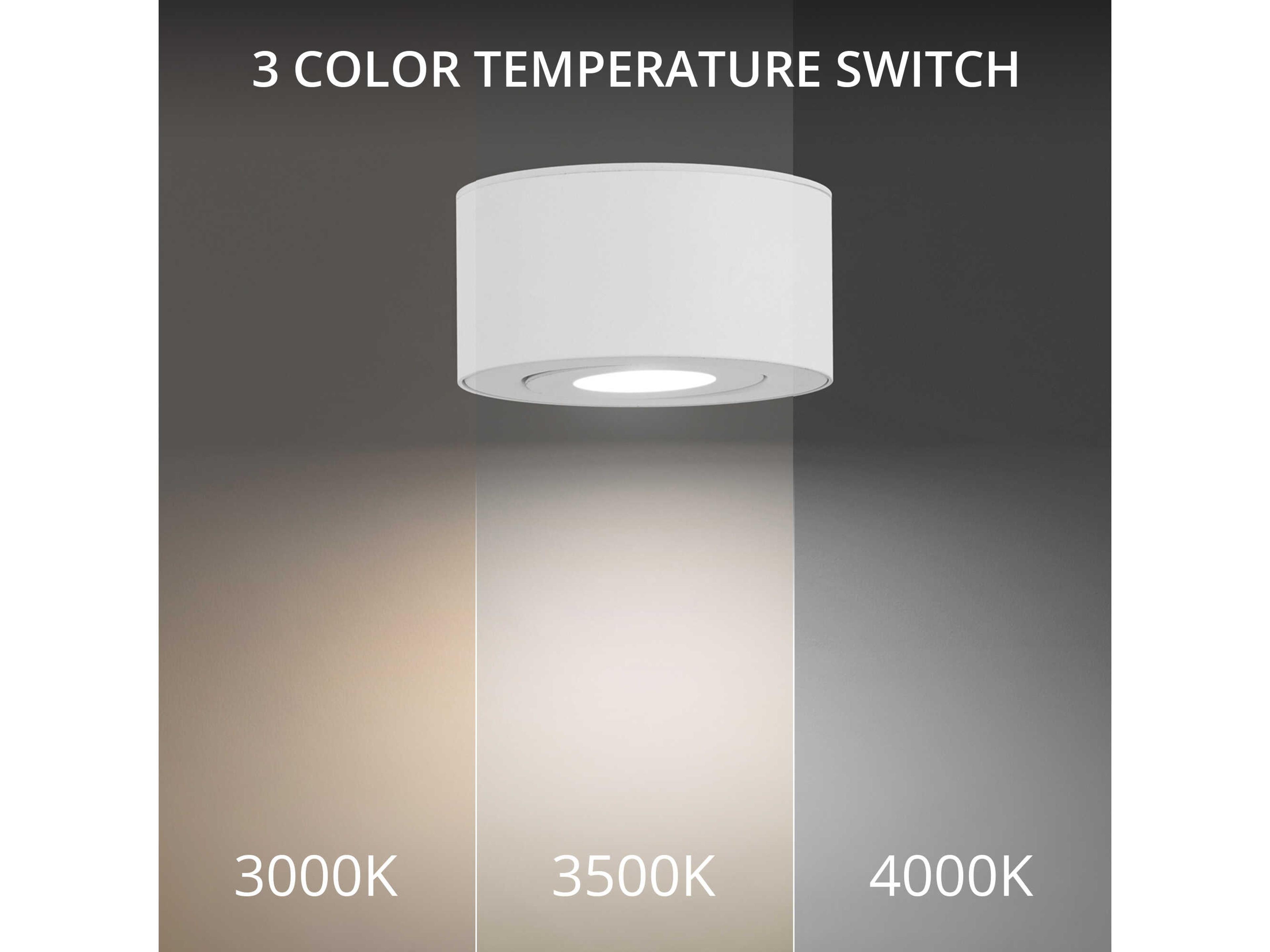 Modern Forms I Spy 1 - Light Outdoor Wall Light