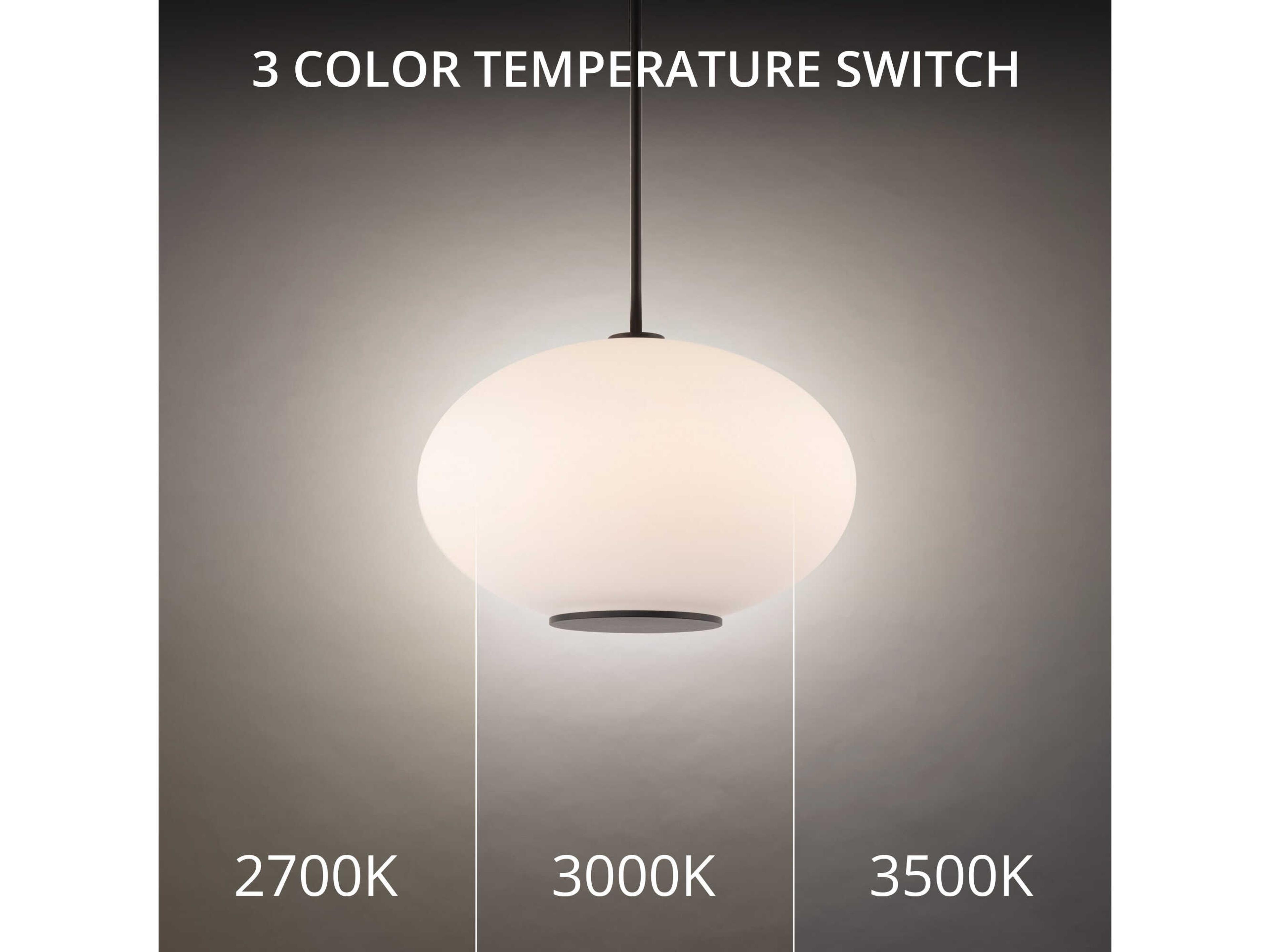 Modern Forms Illusion 1-Light Black Glass LED Globe Pendant