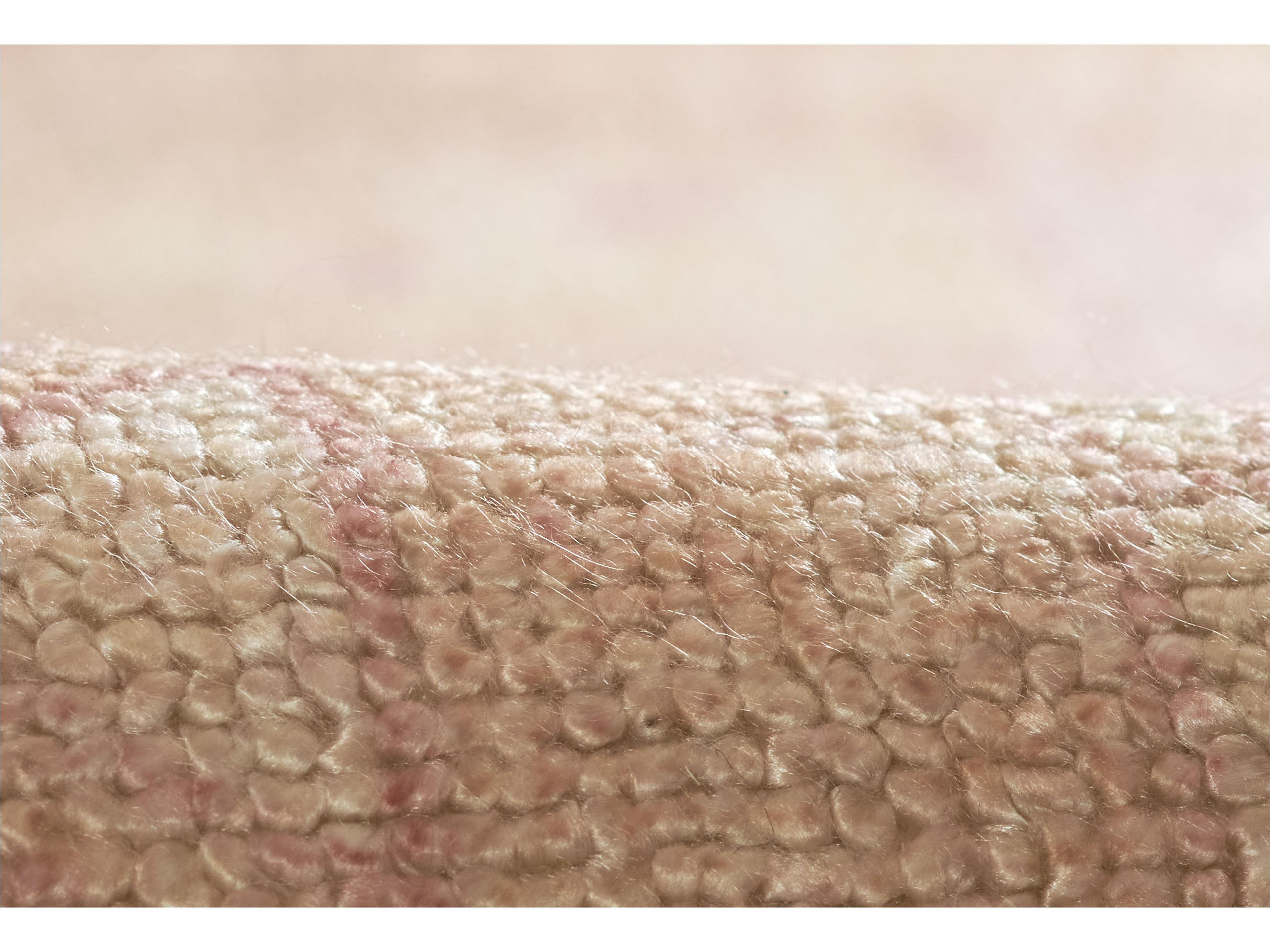 Momeni Luna Bordered Area Rug