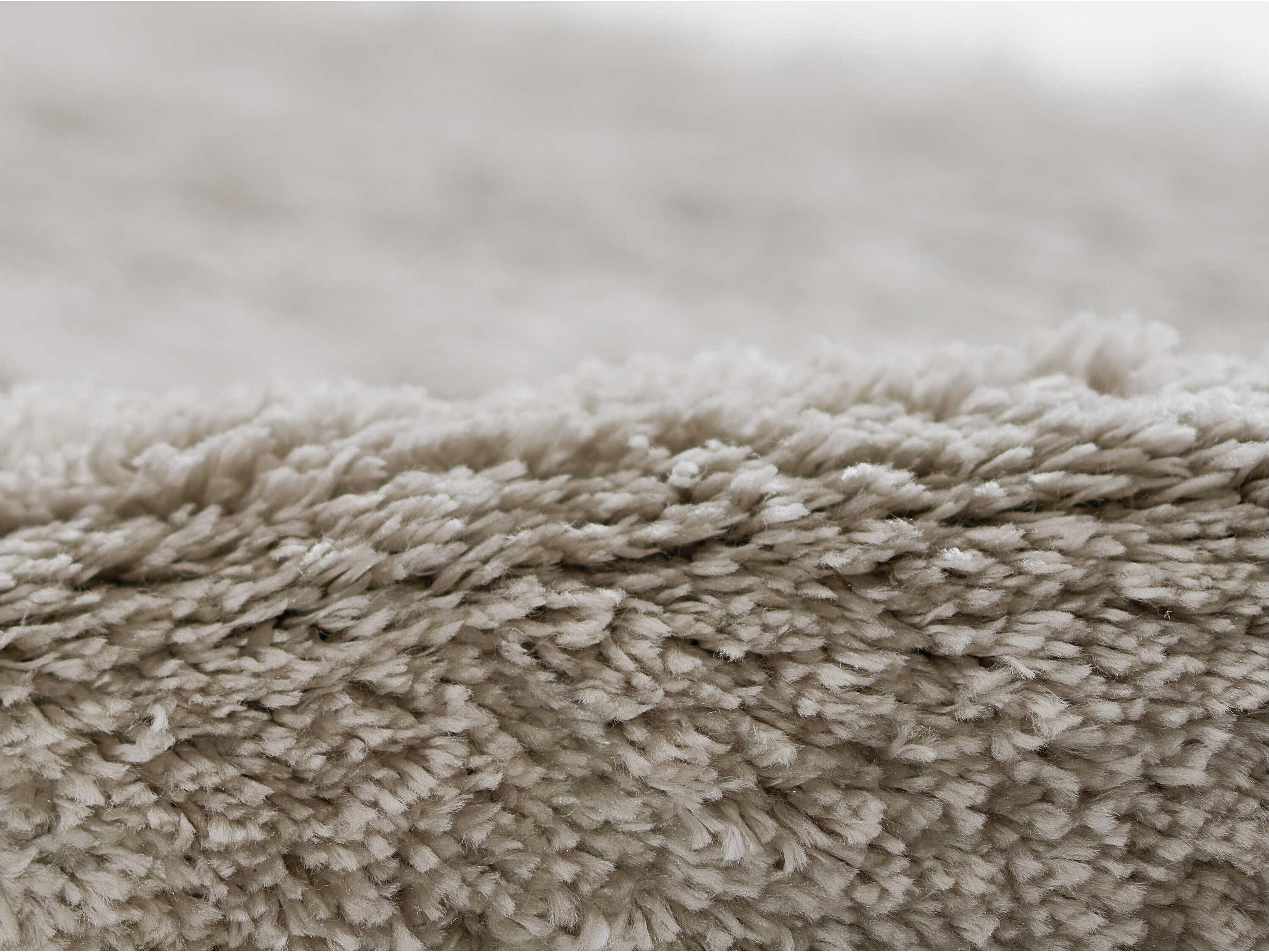 Momeni Nola Shag Area Rug