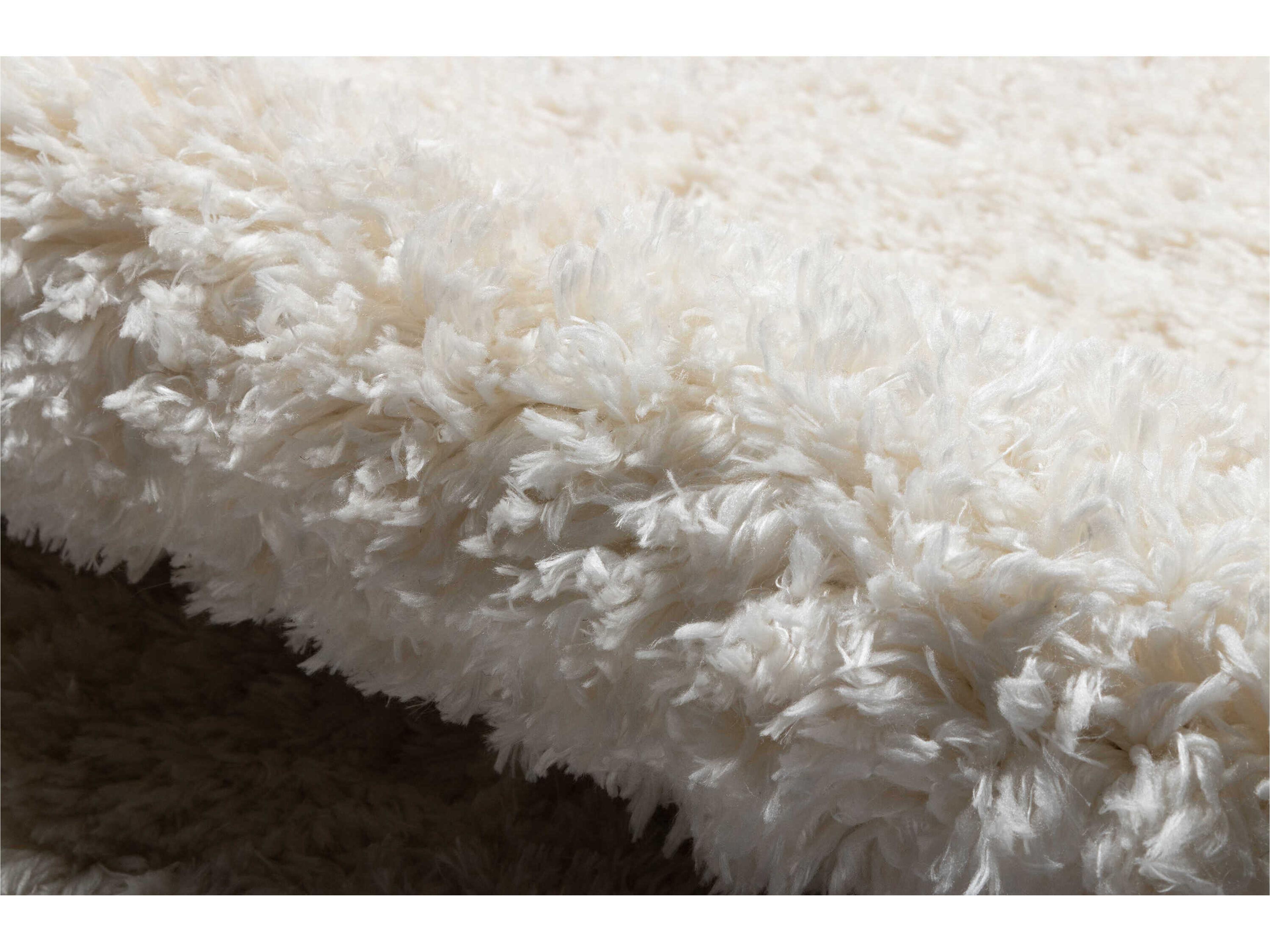 Momeni Nola Shag Area Rug