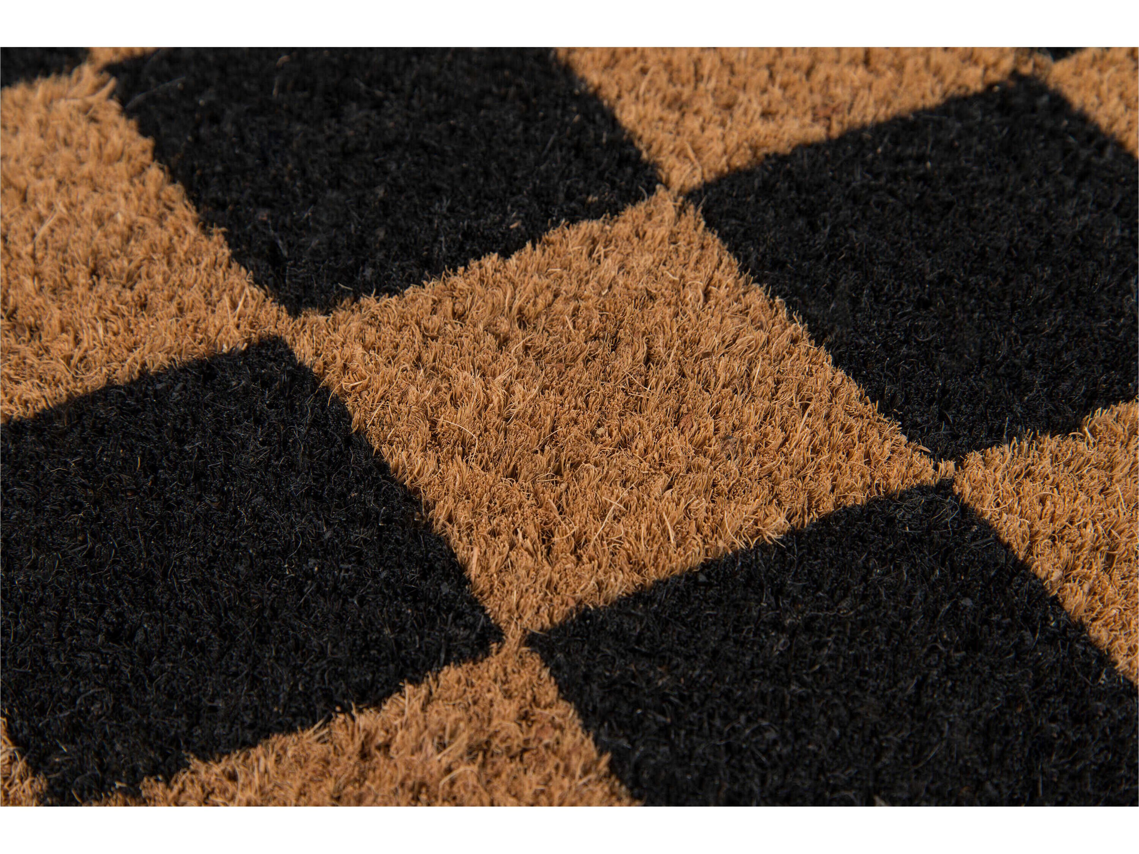 Momeni Park Bordered Area Rug