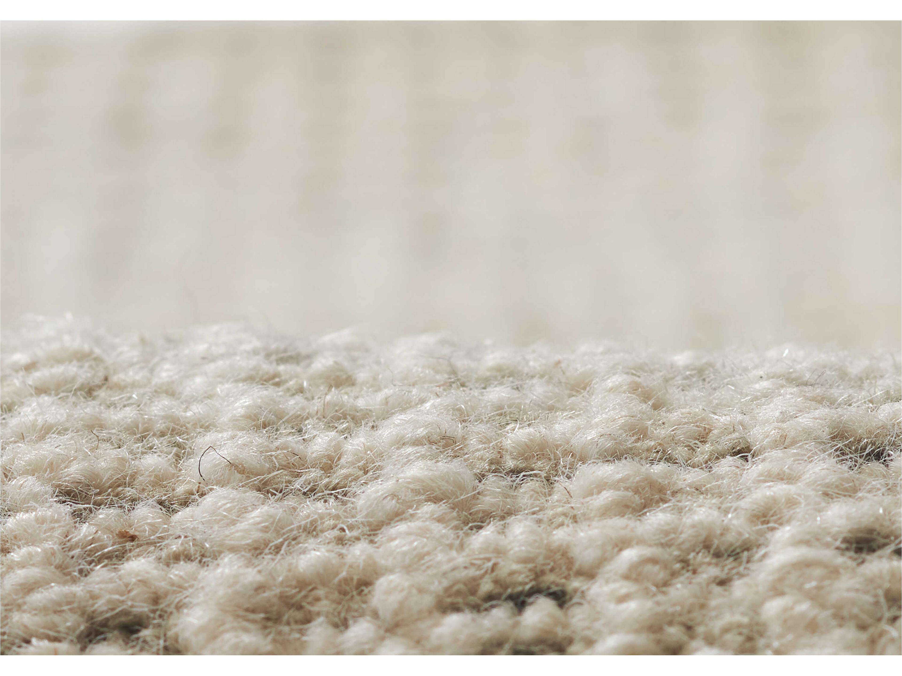 Momeni Thomas Area Rug